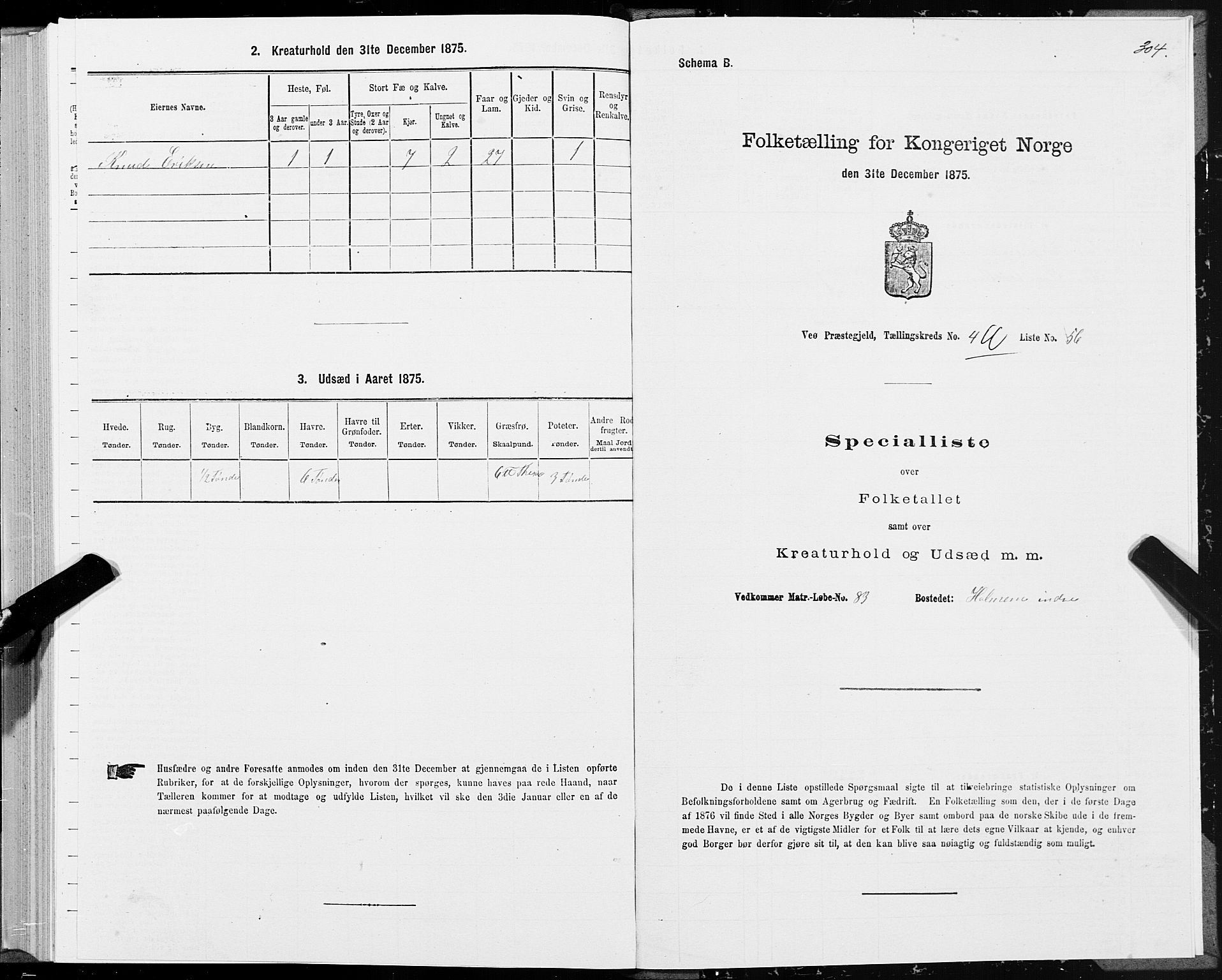 SAT, 1875 census for 1541P Veøy, 1875, p. 2304