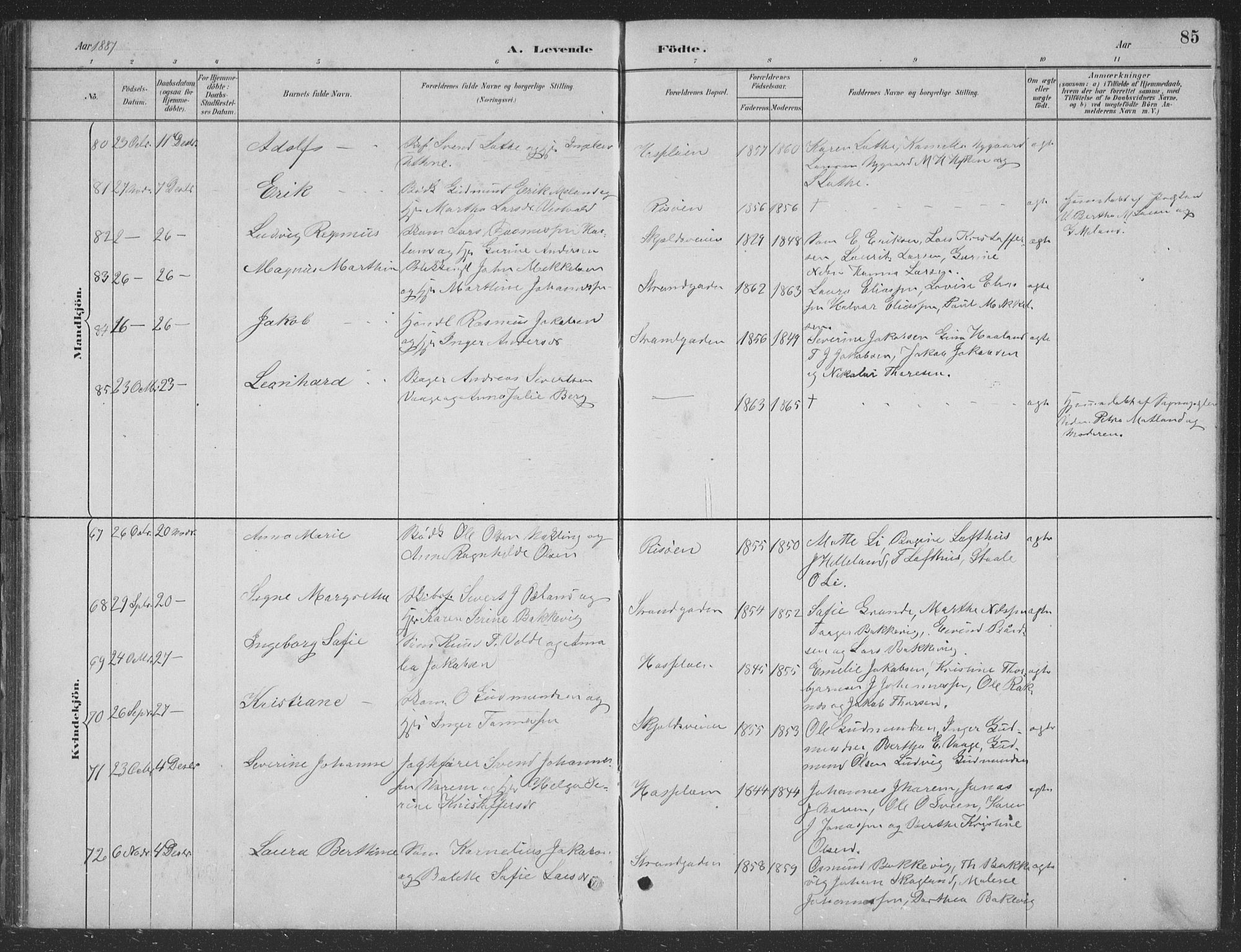 Haugesund sokneprestkontor, AV/SAST-A -101863/H/Ha/Hab/L0002: Parish register (copy) no. B 2, 1881-1894, p. 85