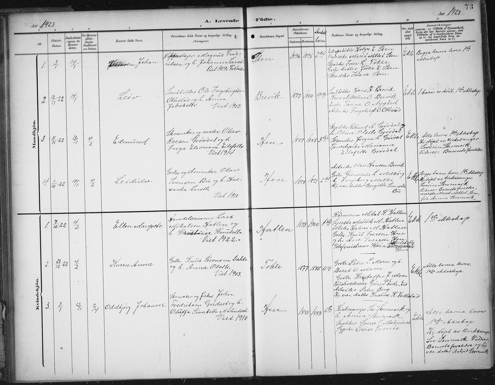 Ministerialprotokoller, klokkerbøker og fødselsregistre - Møre og Romsdal, SAT/A-1454/545/L0589: Parish register (copy) no. 545C03, 1902-1937, p. 73