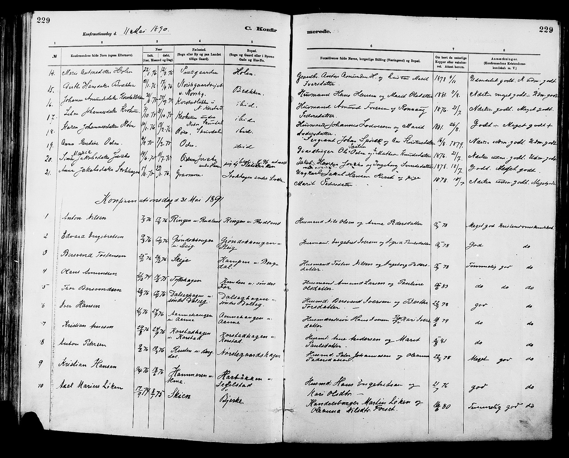 Sør-Fron prestekontor, SAH/PREST-010/H/Ha/Haa/L0003: Parish register (official) no. 3, 1881-1897, p. 229