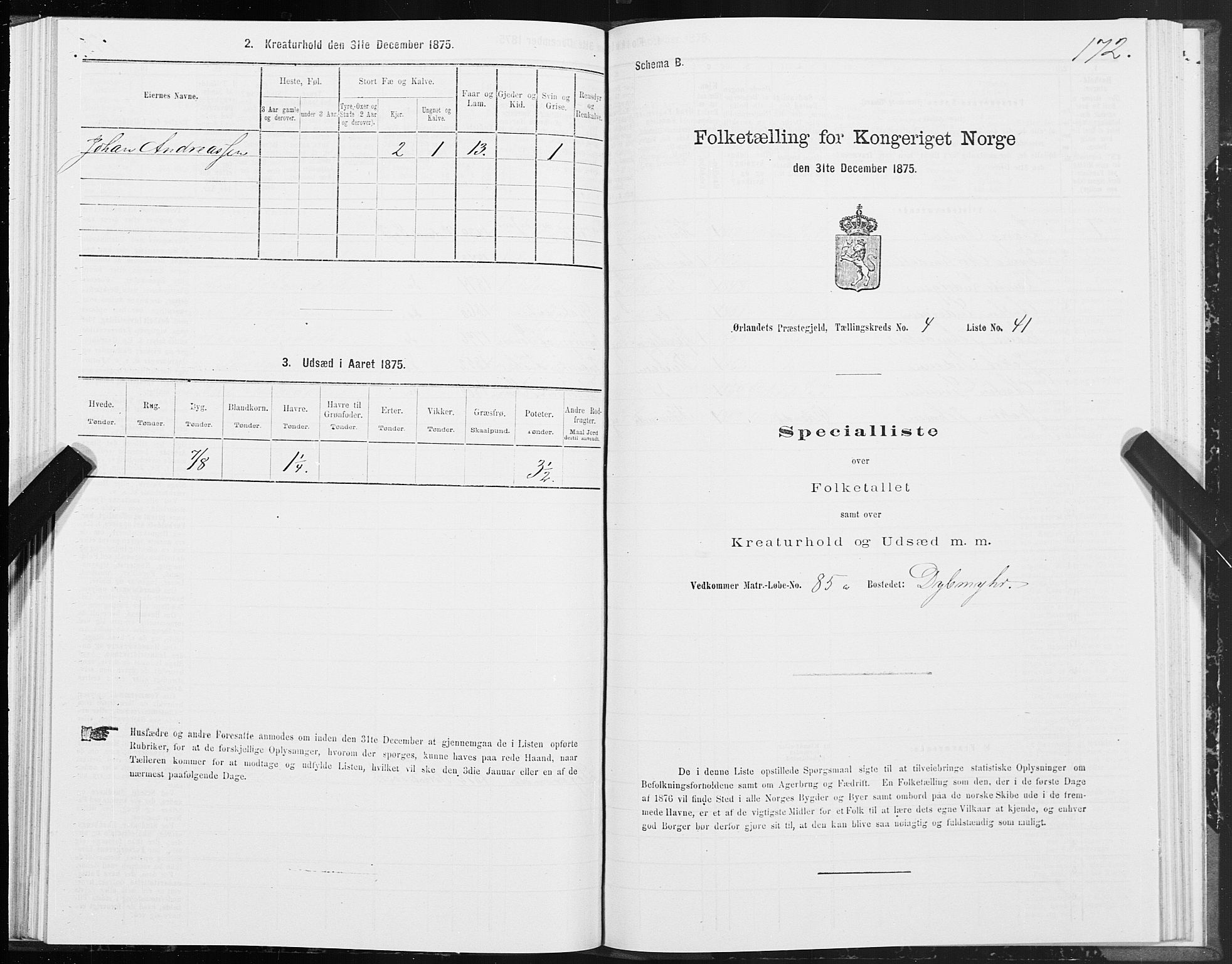 SAT, 1875 census for 1621P Ørland, 1875, p. 2172