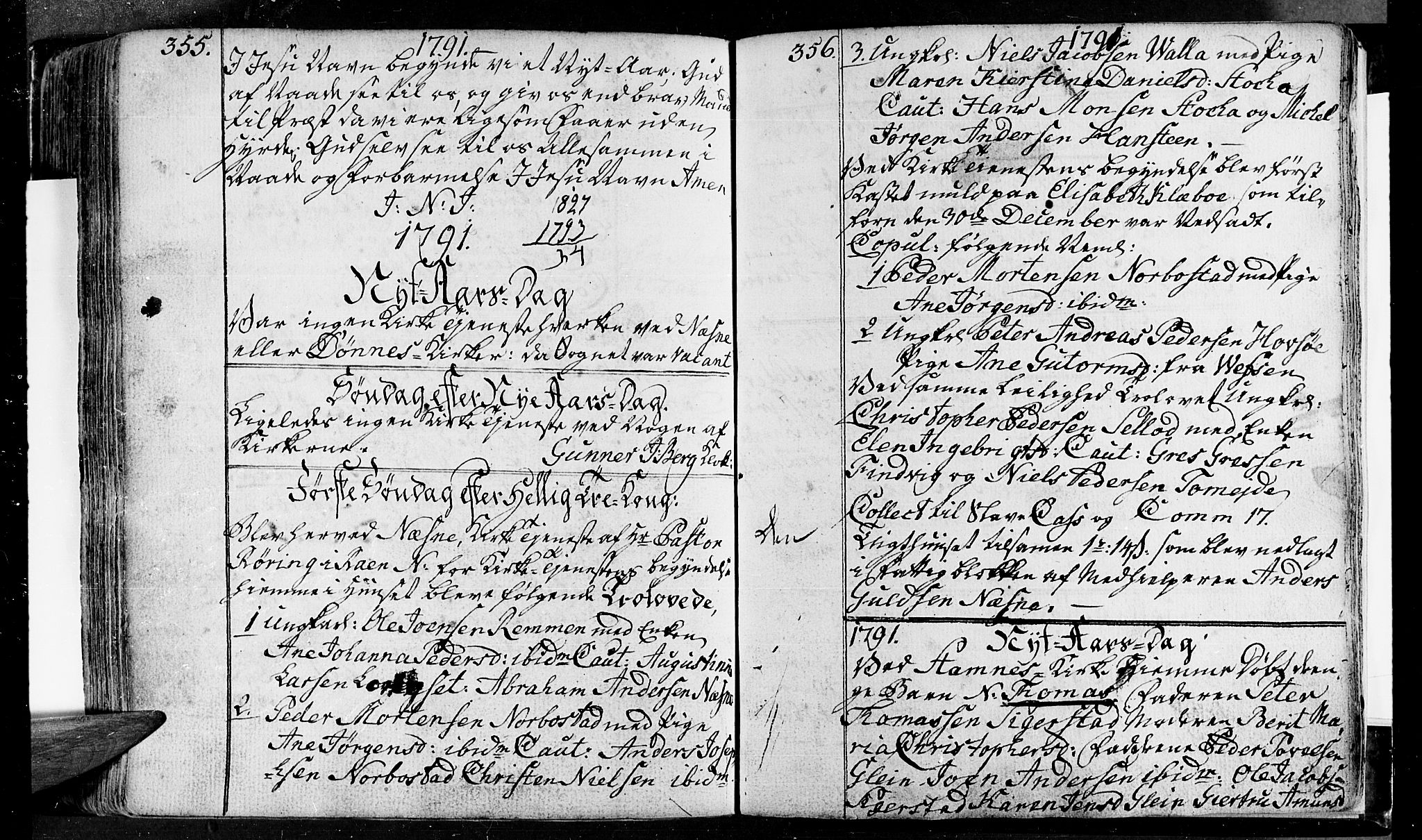 Ministerialprotokoller, klokkerbøker og fødselsregistre - Nordland, AV/SAT-A-1459/838/L0544: Parish register (official) no. 838A03, 1770-1791, p. 355-356