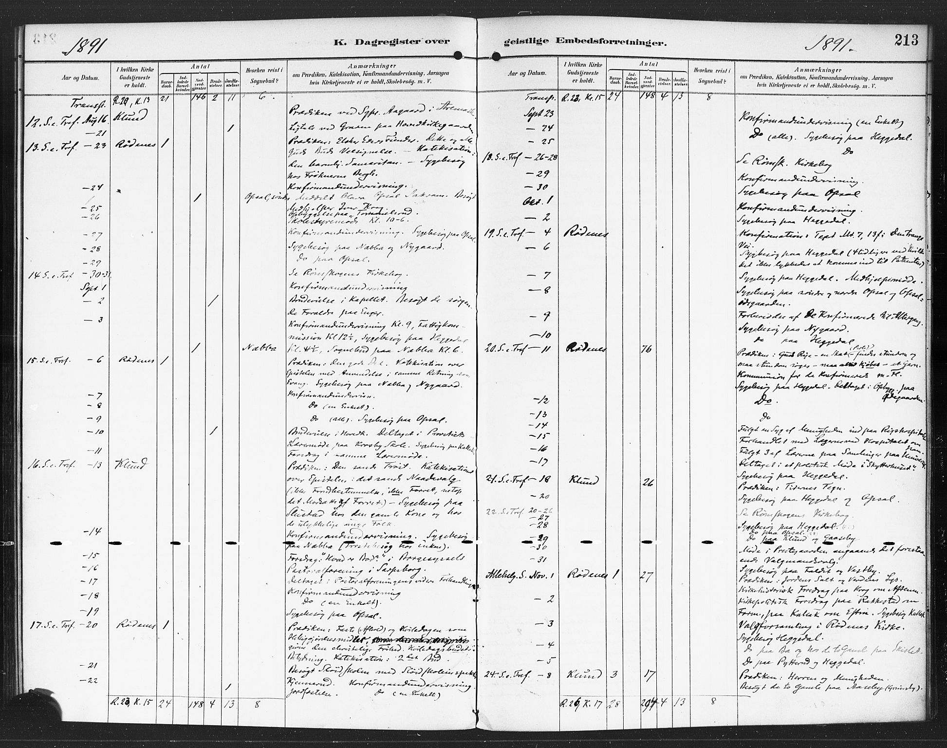 Rødenes prestekontor Kirkebøker, AV/SAO-A-2005/F/Fa/L0010: Parish register (official) no. I 10, 1890-1900, p. 213