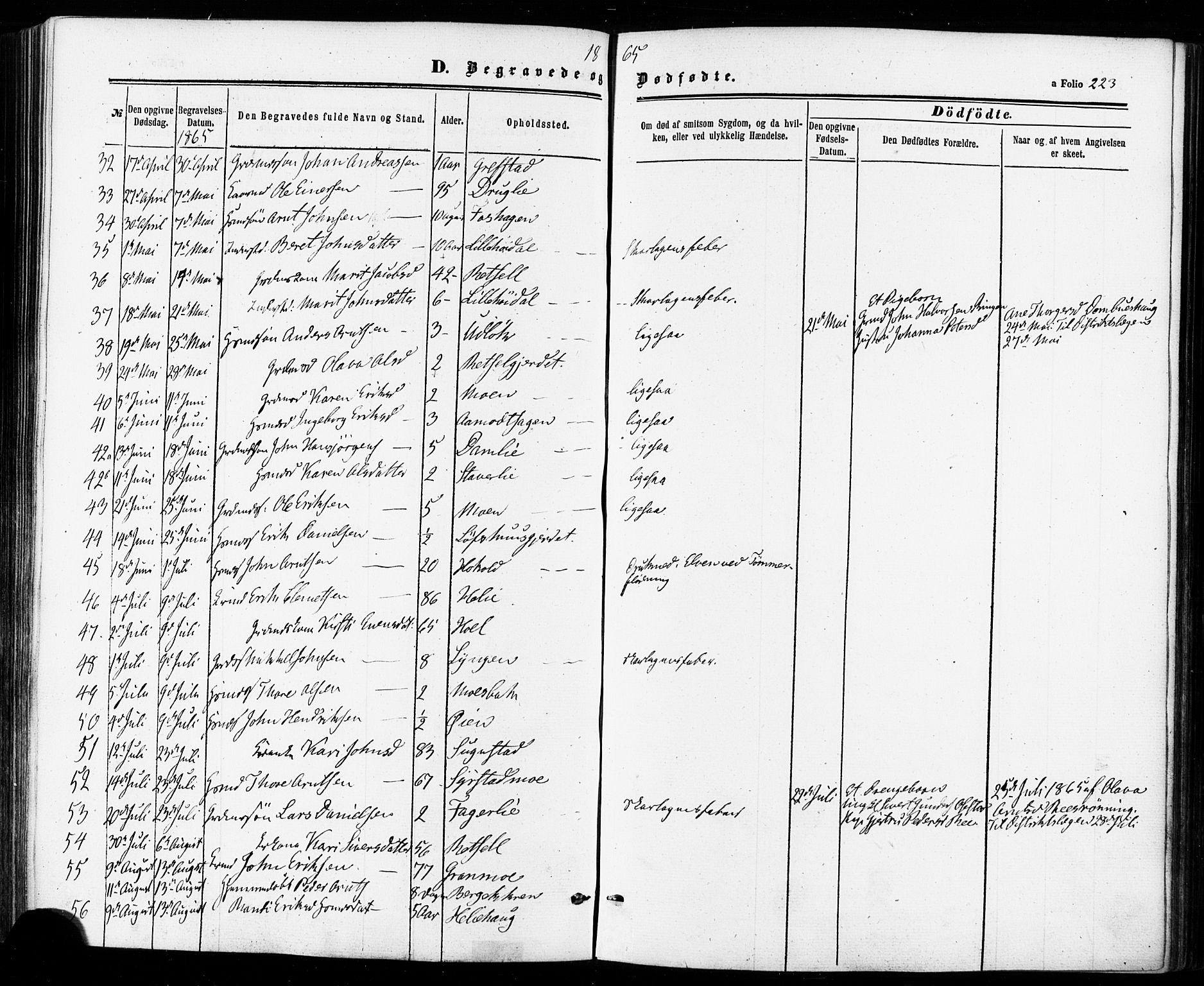 Ministerialprotokoller, klokkerbøker og fødselsregistre - Sør-Trøndelag, AV/SAT-A-1456/672/L0856: Parish register (official) no. 672A08, 1861-1881, p. 223