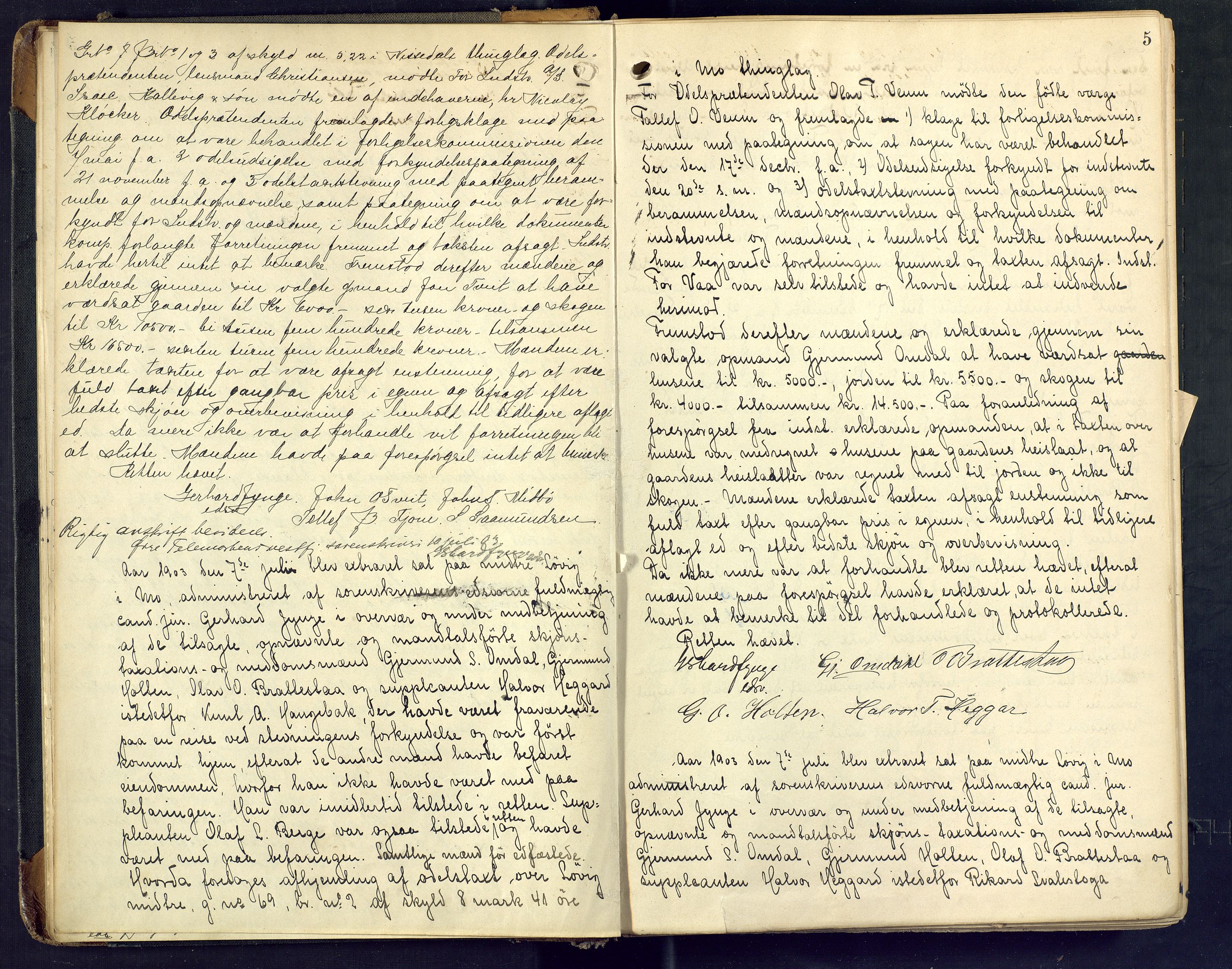Vest-Telemark sorenskriveri, AV/SAKO-A-134/F/Fd/Fda/L0011: Ekstrarettsprotokoll, 1903-1907, p. 5