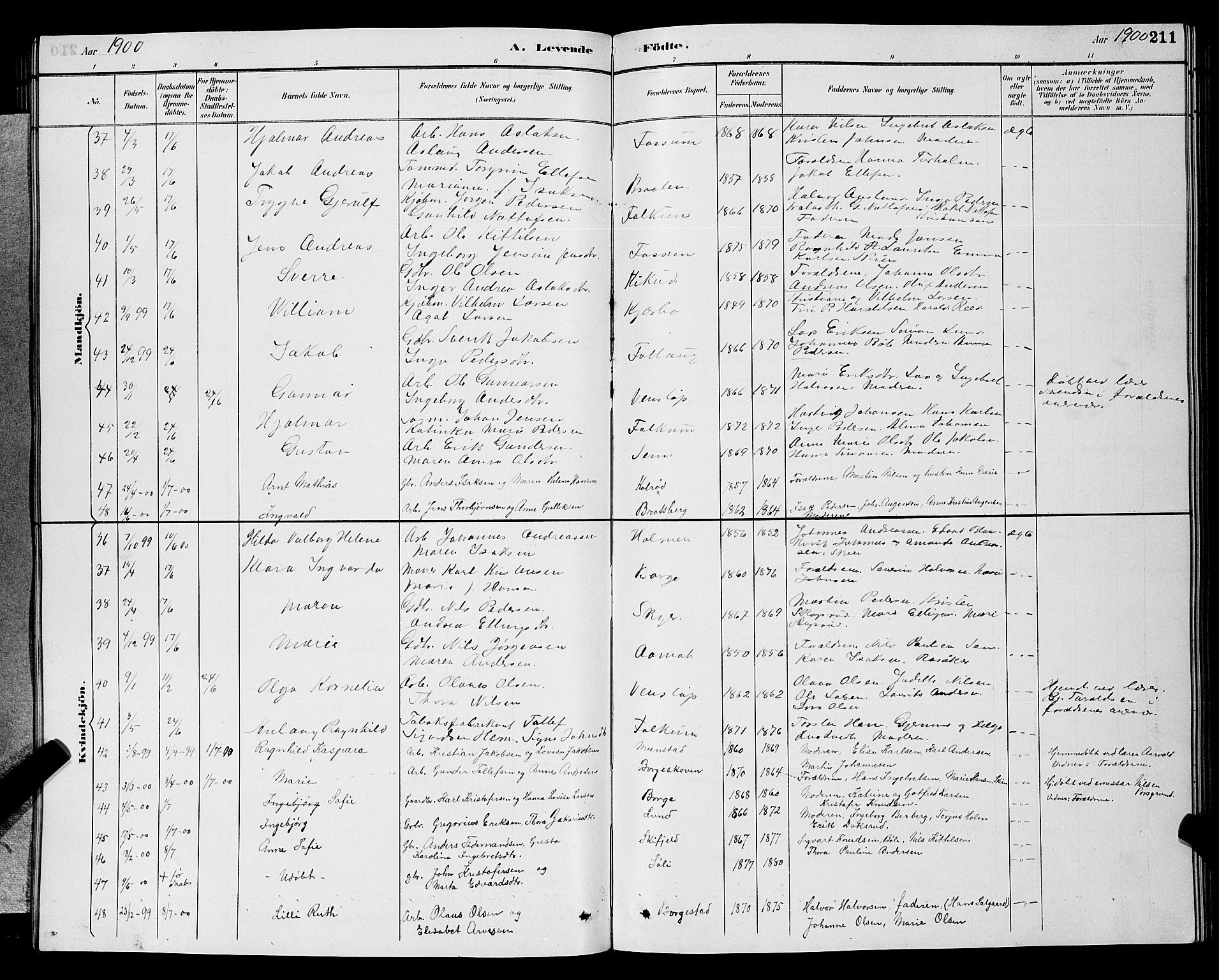 Gjerpen kirkebøker, AV/SAKO-A-265/G/Ga/L0002: Parish register (copy) no. I 2, 1883-1900, p. 211