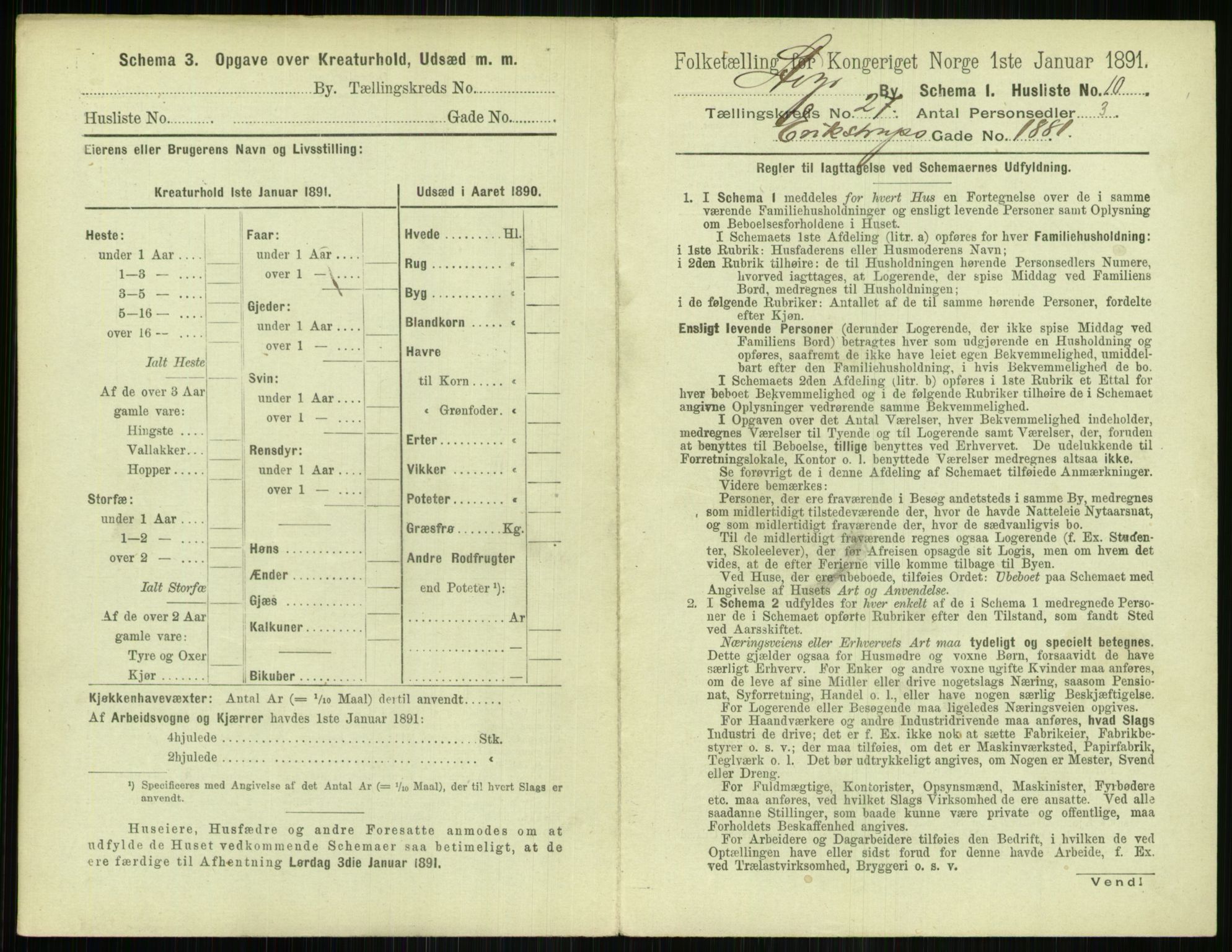 RA, 1891 census for 1103 Stavanger, 1891, p. 4965