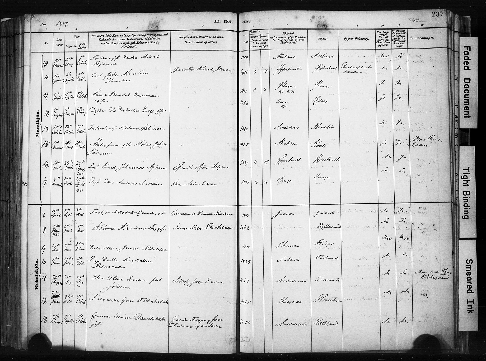 Haugesund sokneprestkontor, AV/SAST-A -101863/H/Ha/Haa/L0004: Parish register (official) no. A 4, 1886-1908, p. 237