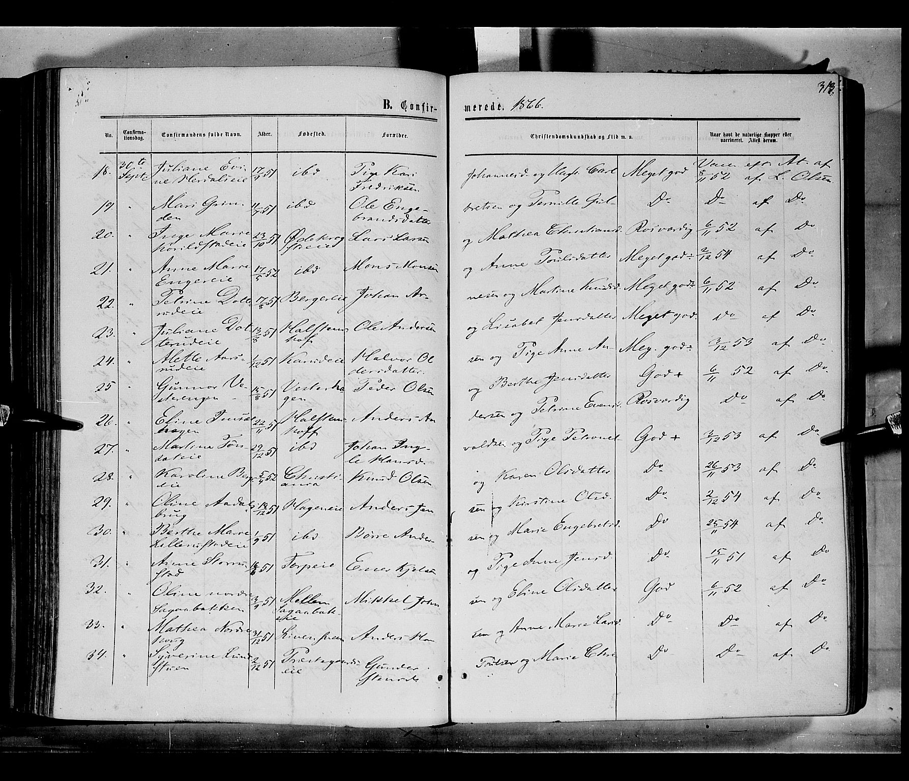 Løten prestekontor, AV/SAH-PREST-022/K/Ka/L0008: Parish register (official) no. 8, 1860-1877, p. 313