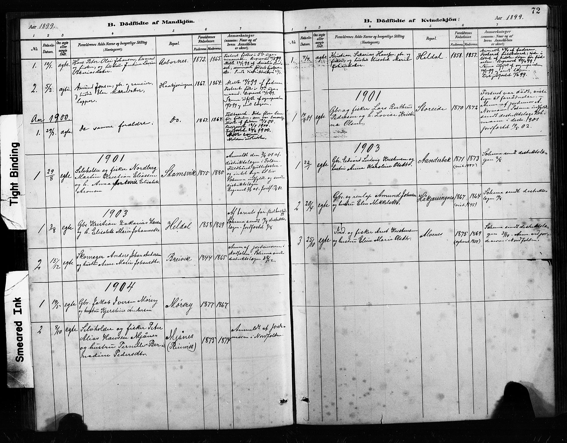 Ministerialprotokoller, klokkerbøker og fødselsregistre - Nordland, AV/SAT-A-1459/858/L0834: Parish register (copy) no. 858C01, 1884-1904, p. 72