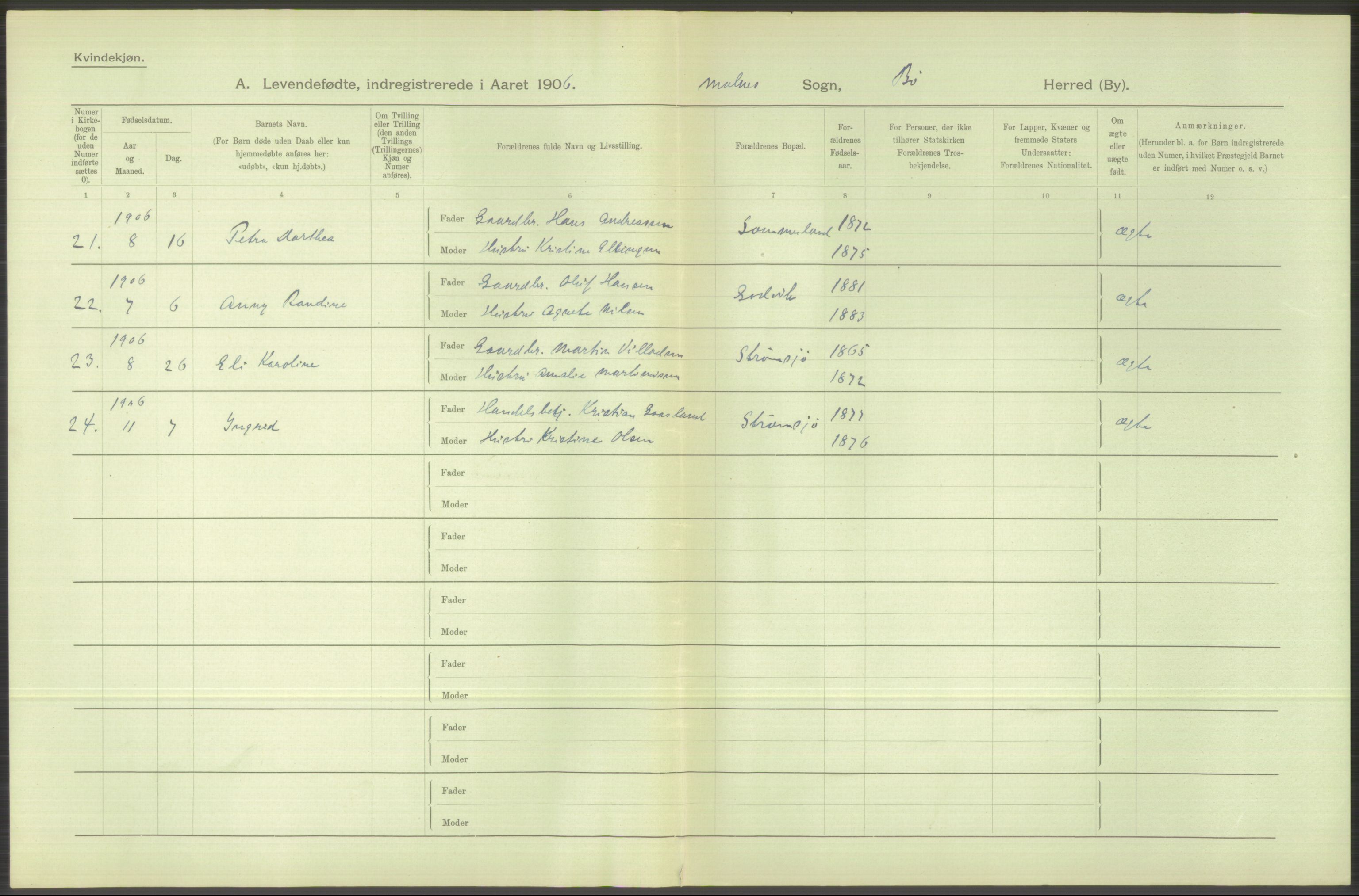 Statistisk sentralbyrå, Sosiodemografiske emner, Befolkning, AV/RA-S-2228/D/Df/Dfa/Dfad/L0044: Nordlands amt: Levendefødte menn og kvinner. Bygder., 1906, p. 54