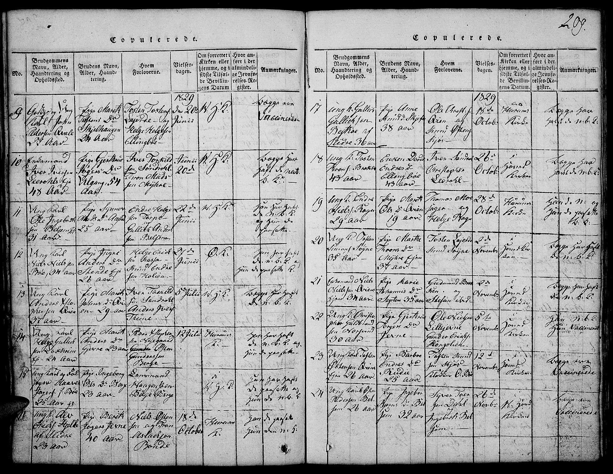 Vang prestekontor, Valdres, SAH/PREST-140/H/Hb/L0002: Parish register (copy) no. 2, 1814-1889, p. 209