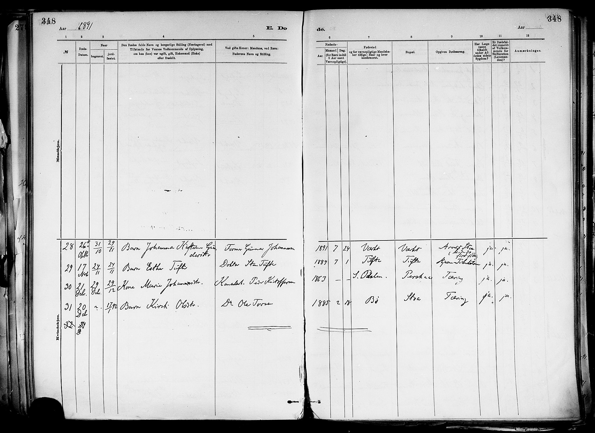 Holla kirkebøker, AV/SAKO-A-272/F/Fa/L0008: Parish register (official) no. 8, 1882-1897, p. 348