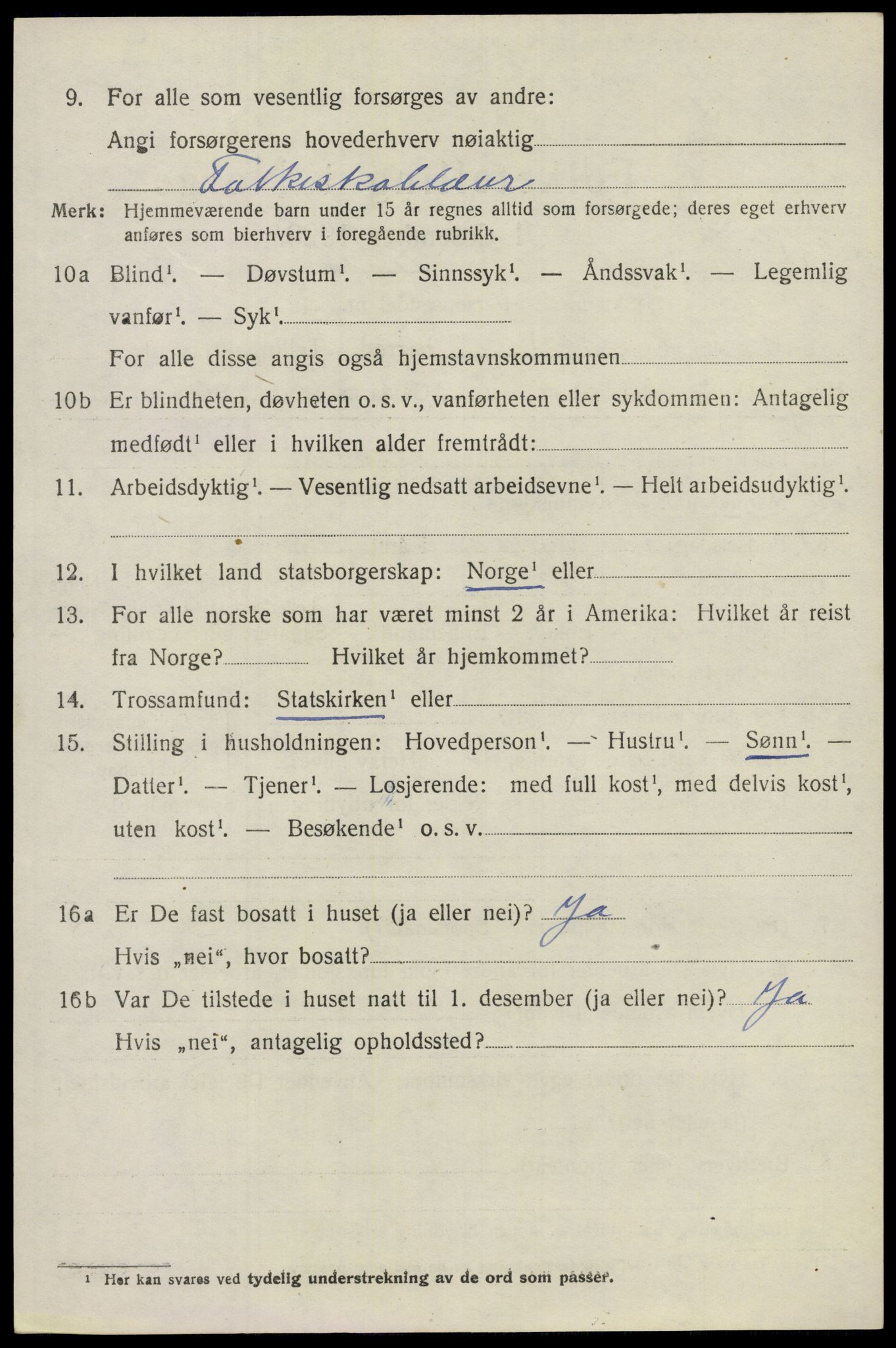 SAO, 1920 census for Nes, 1920, p. 13945