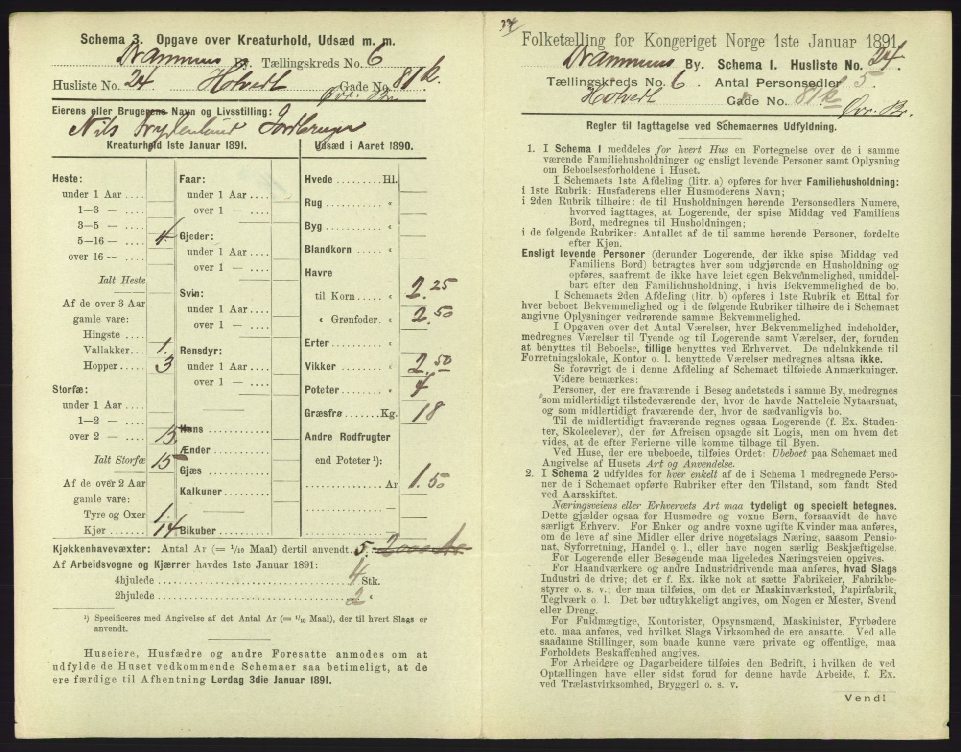 RA, 1891 census for 0602 Drammen, 1891, p. 567