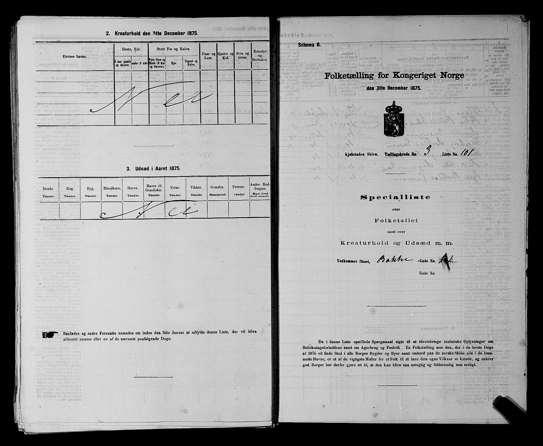 SAKO, 1875 census for 0806P Skien, 1875, p. 676