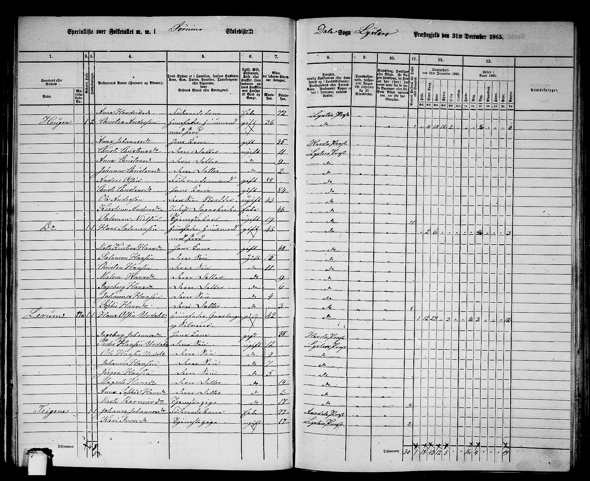 RA, 1865 census for Luster, 1865, p. 60