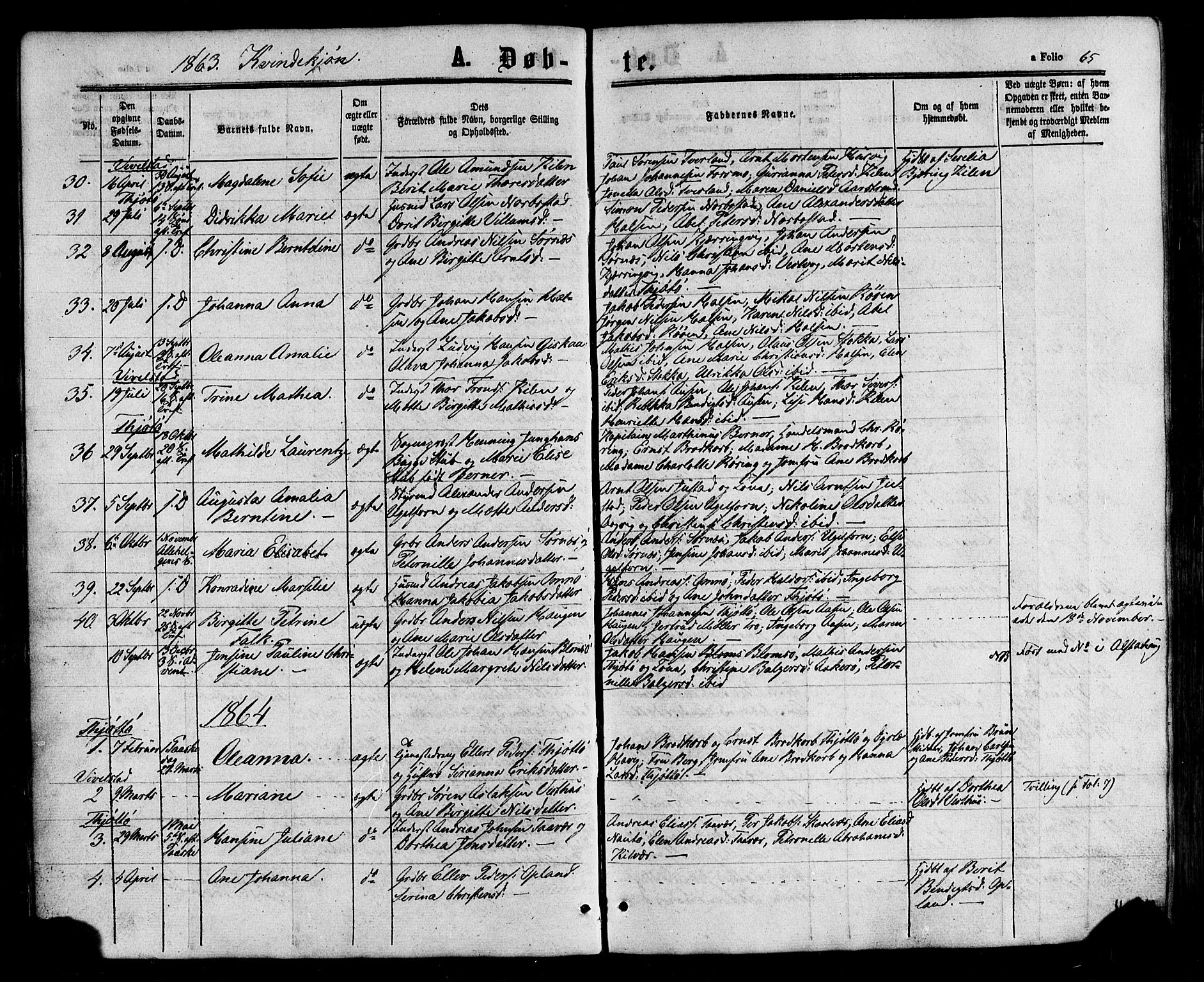 Ministerialprotokoller, klokkerbøker og fødselsregistre - Nordland, SAT/A-1459/817/L0262: Parish register (official) no. 817A03/ 1, 1862-1877, p. 65