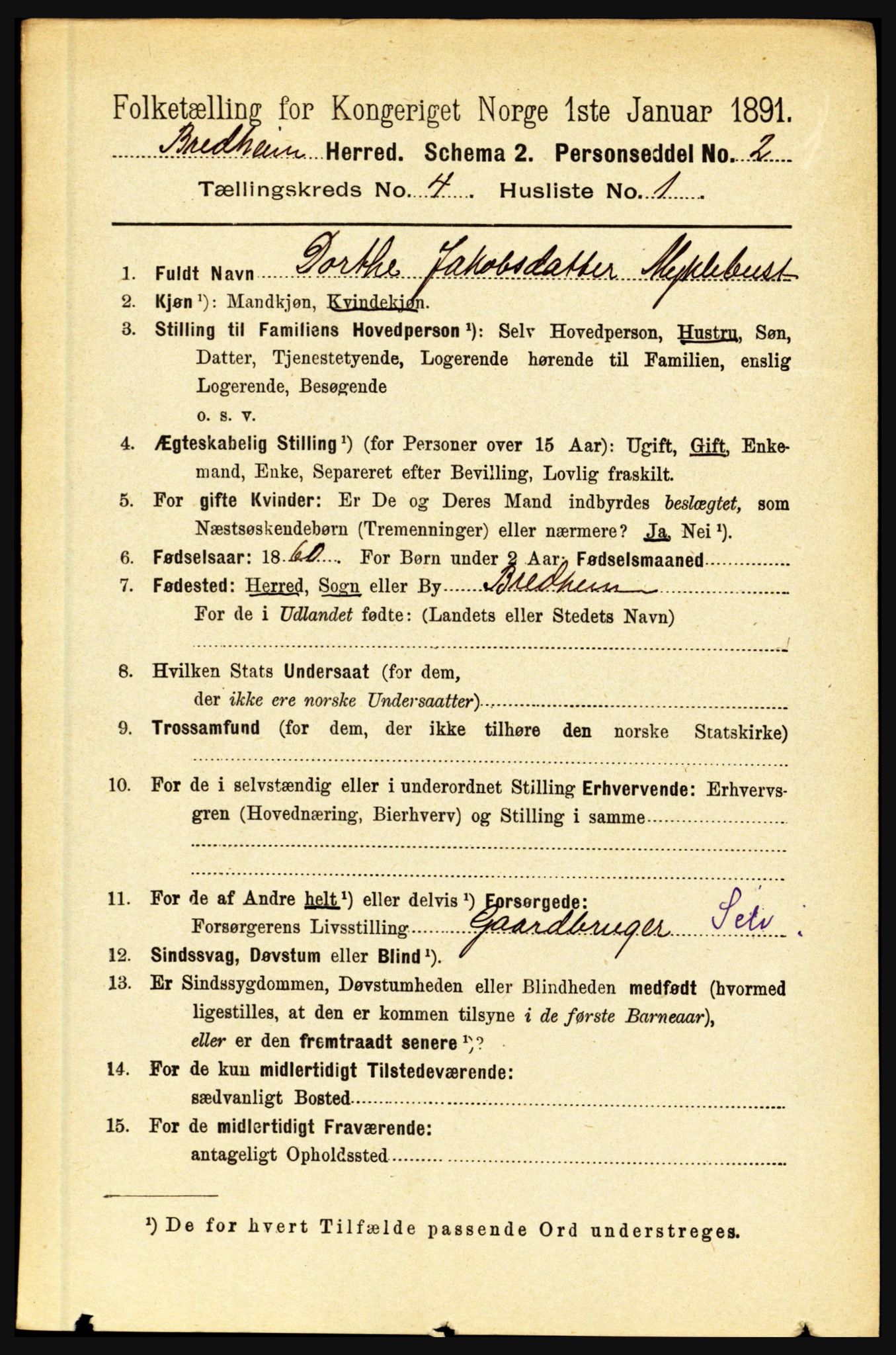 RA, 1891 census for 1446 Breim, 1891, p. 1303