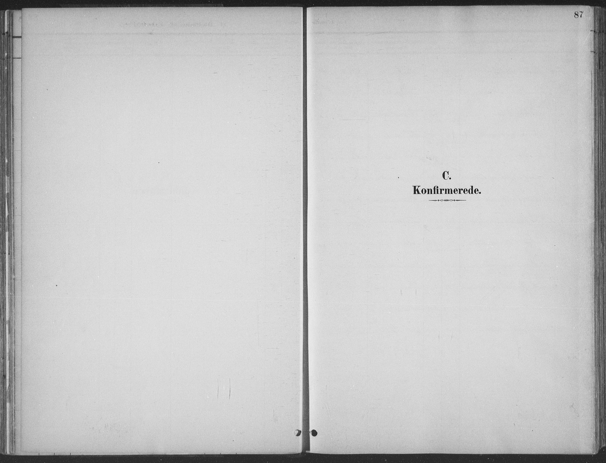 Søgne sokneprestkontor, SAK/1111-0037/F/Fa/Faa/L0003: Parish register (official) no. A 3, 1883-1910, p. 87