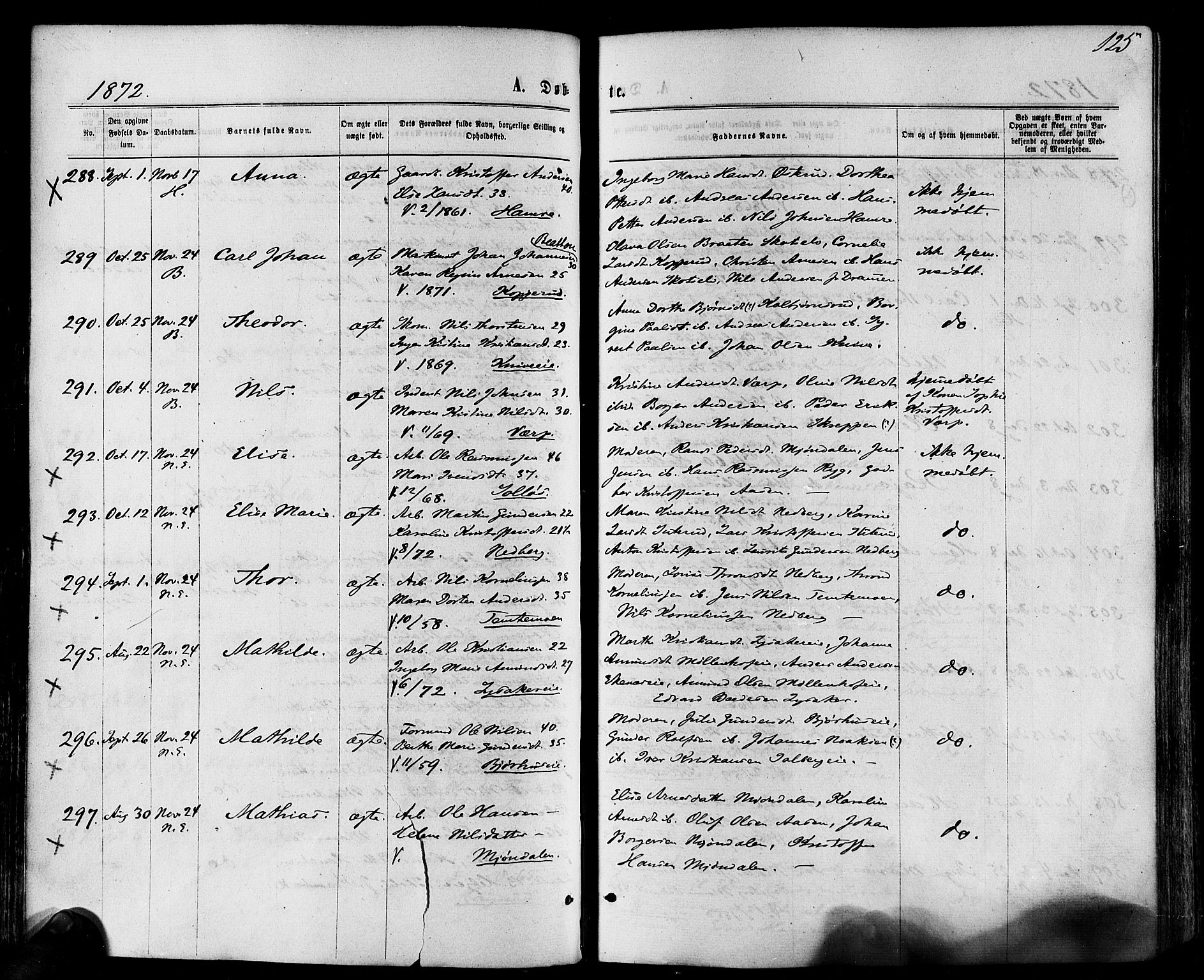 Eiker kirkebøker, SAKO/A-4/F/Fa/L0017: Parish register (official) no. I 17, 1869-1877, p. 125