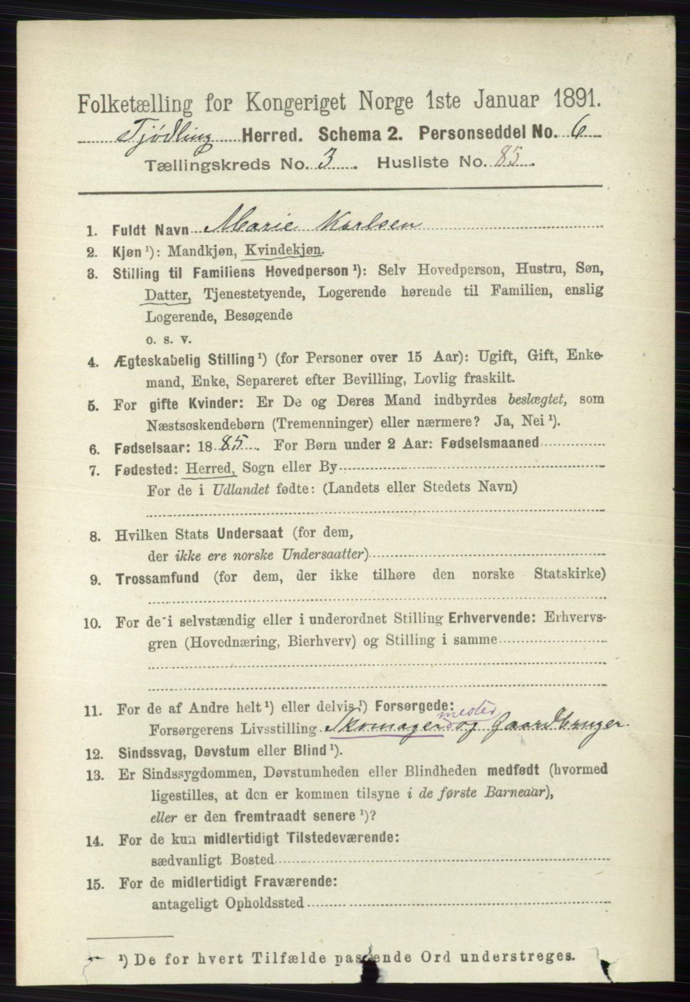 RA, 1891 census for 0725 Tjølling, 1891, p. 1366