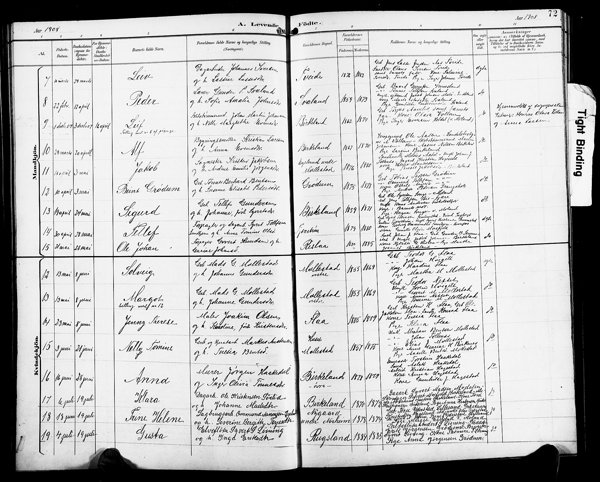Birkenes sokneprestkontor, SAK/1111-0004/F/Fb/L0004: Parish register (copy) no. B 4, 1893-1930, p. 72