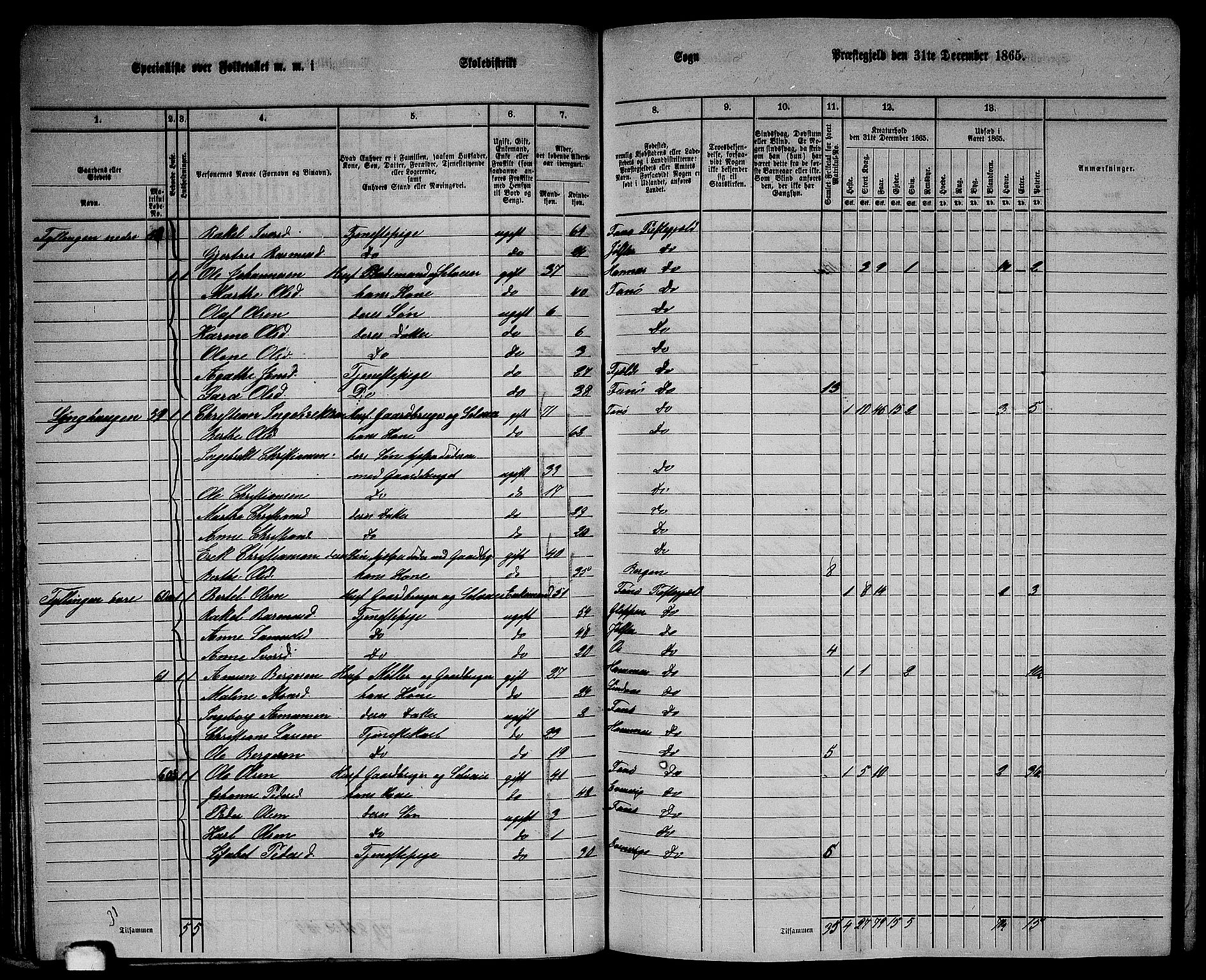 RA, 1865 census for Fana, 1865, p. 41