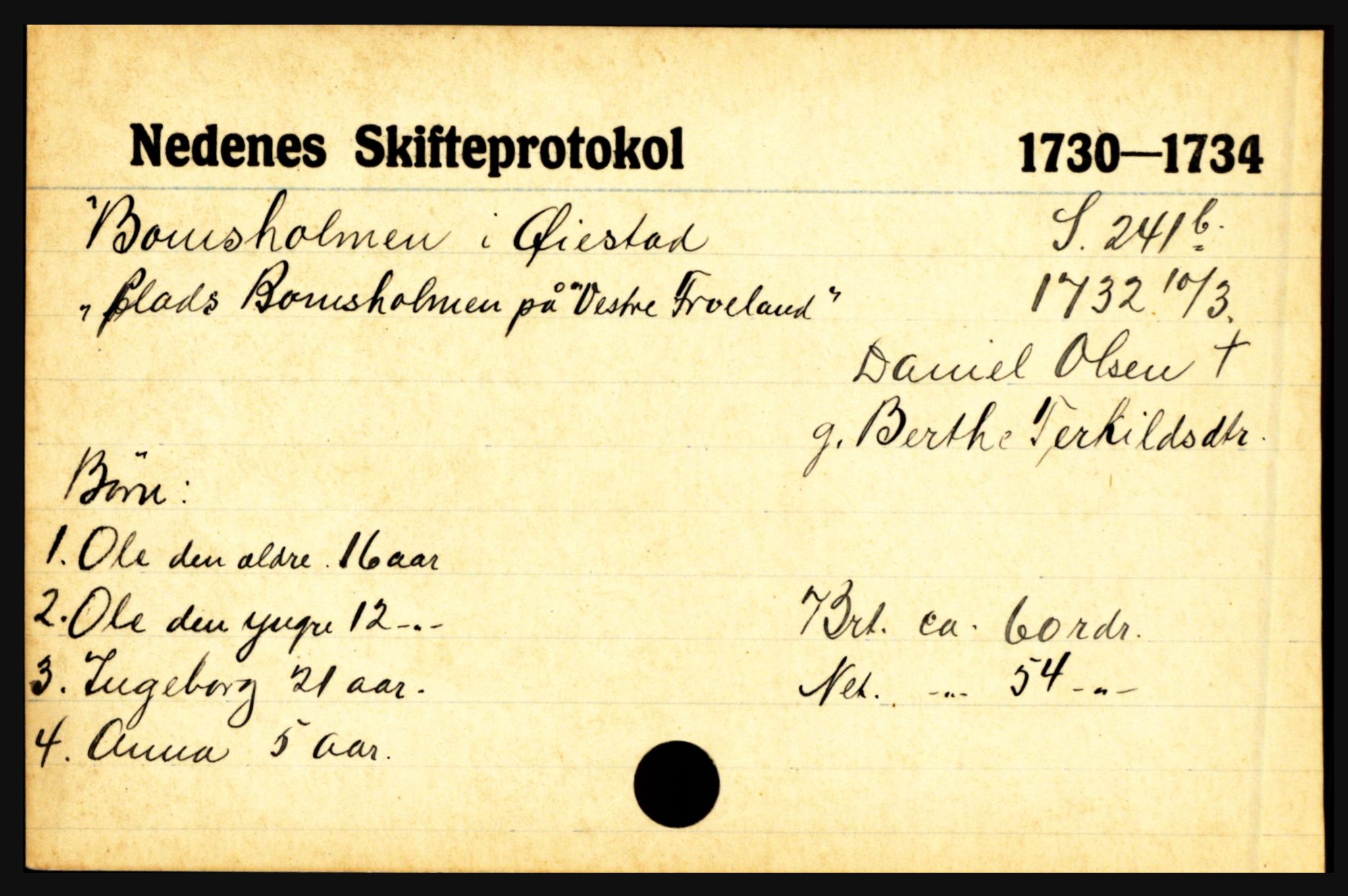 Nedenes sorenskriveri før 1824, SAK/1221-0007/H, p. 3067