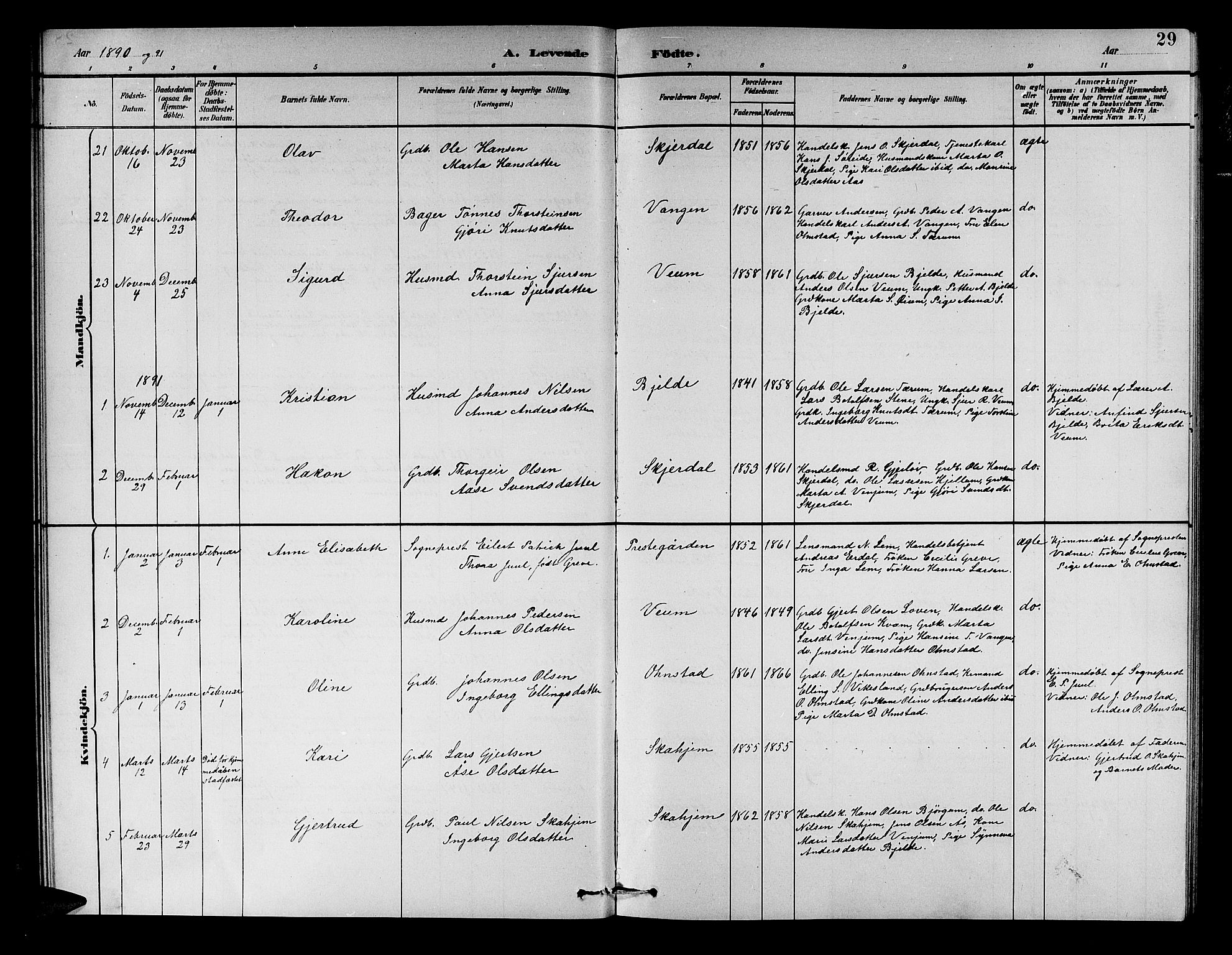 Aurland sokneprestembete, SAB/A-99937/H/Hb/Hba/L0002: Parish register (copy) no. A 2, 1880-1895, p. 29