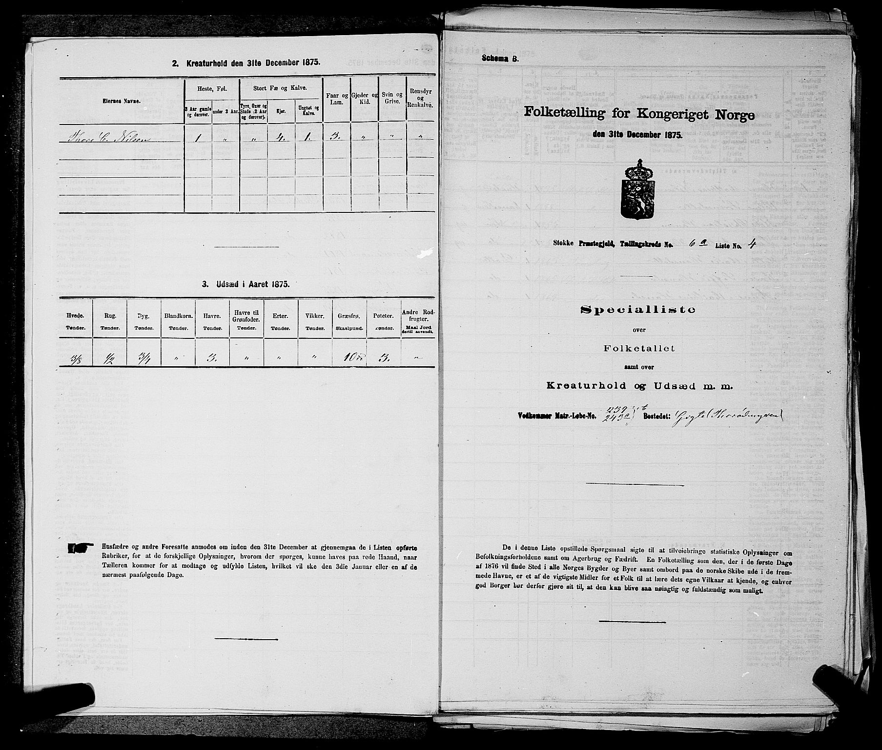 SAKO, 1875 census for 0720P Stokke, 1875, p. 1249