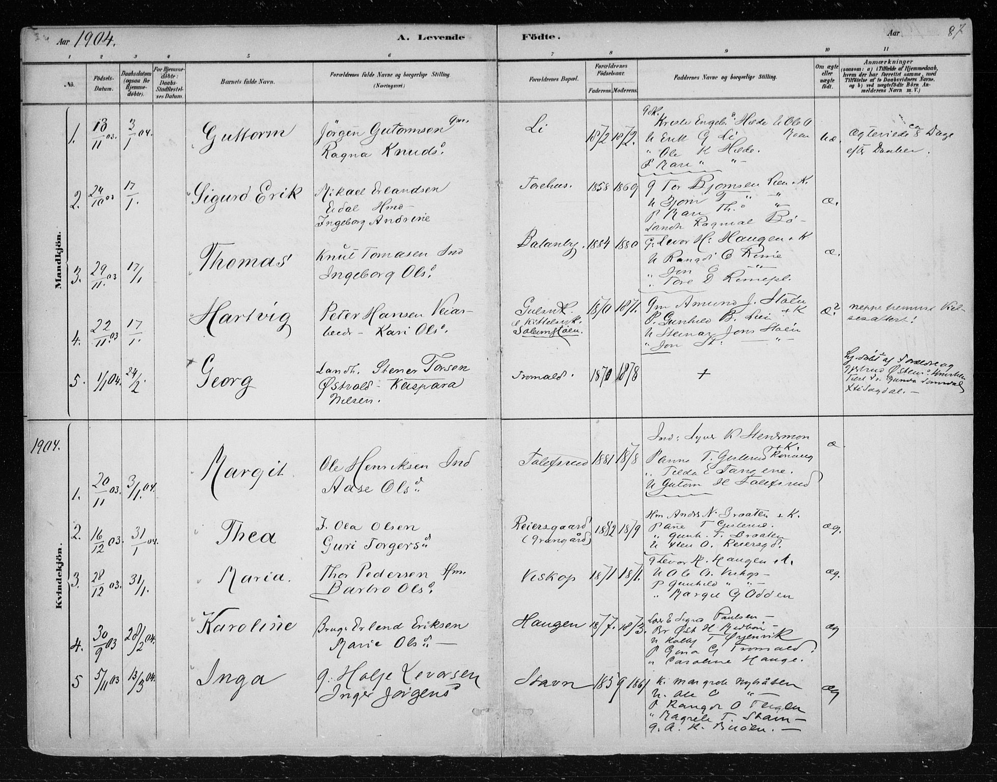 Nes kirkebøker, SAKO/A-236/F/Fa/L0012: Parish register (official) no. 12, 1881-1917, p. 87