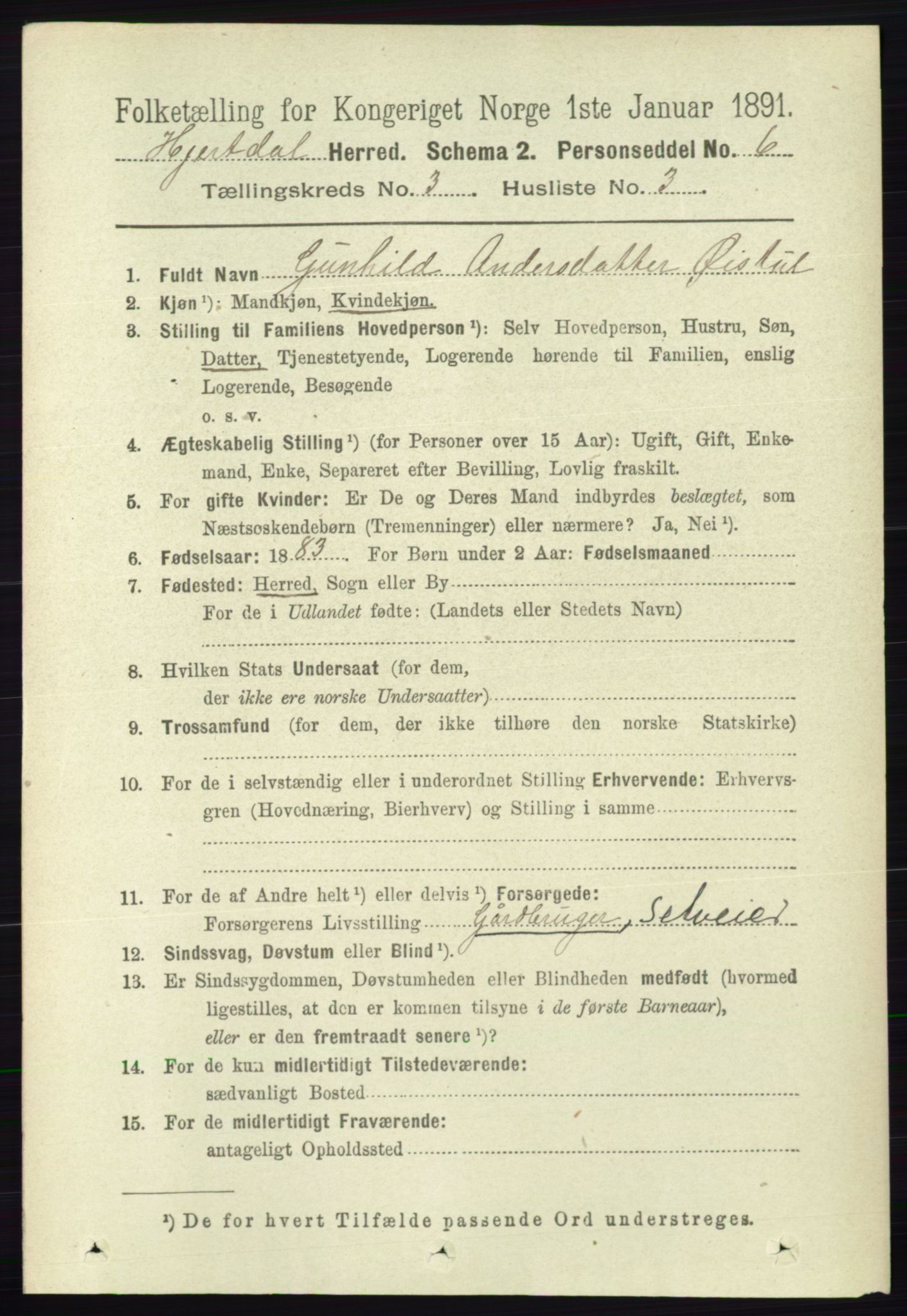 RA, 1891 census for 0827 Hjartdal, 1891, p. 1062