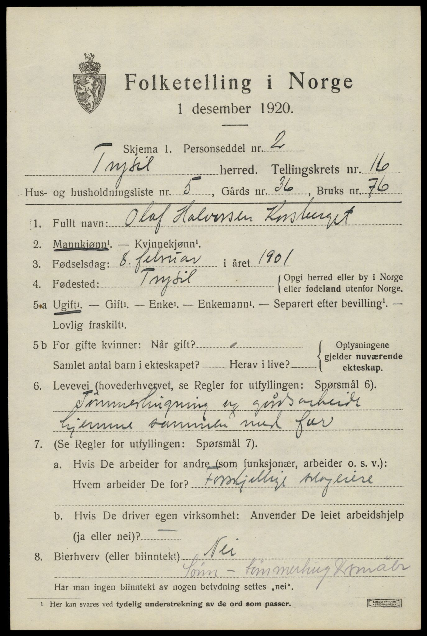 SAH, 1920 census for Trysil, 1920, p. 9491