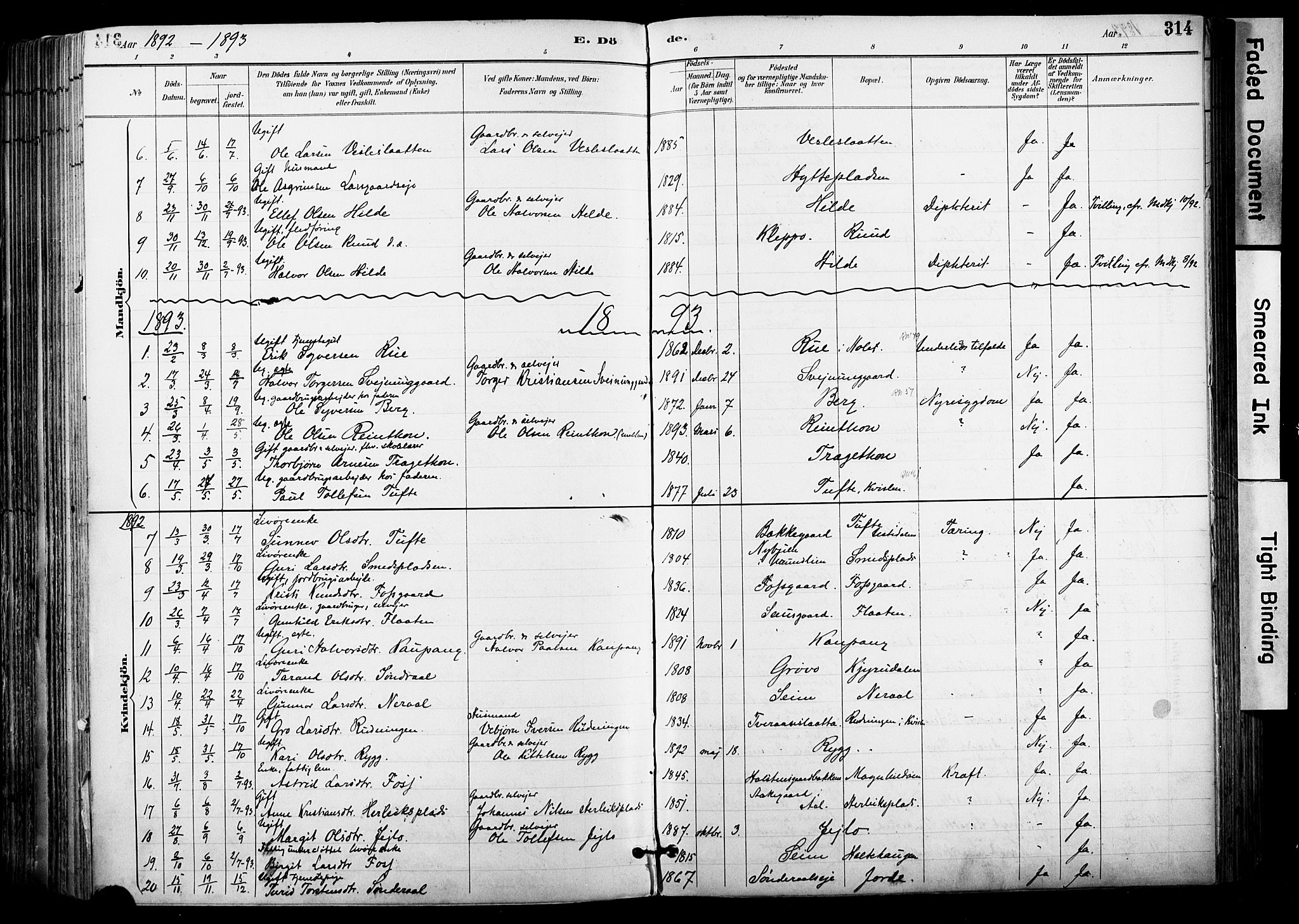 Hol kirkebøker, AV/SAKO-A-227/F/Fa/L0003: Parish register (official) no. I 3, 1887-1918, p. 314