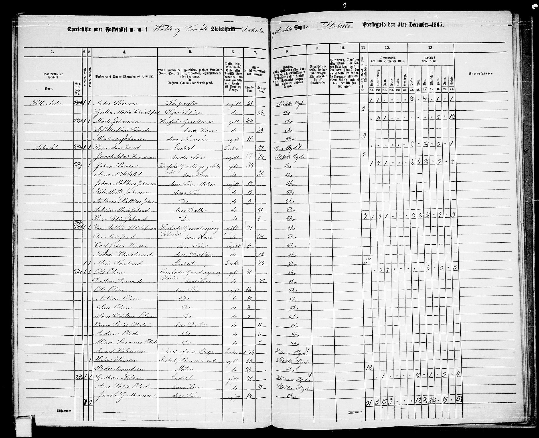 RA, 1865 census for Stokke, 1865, p. 169