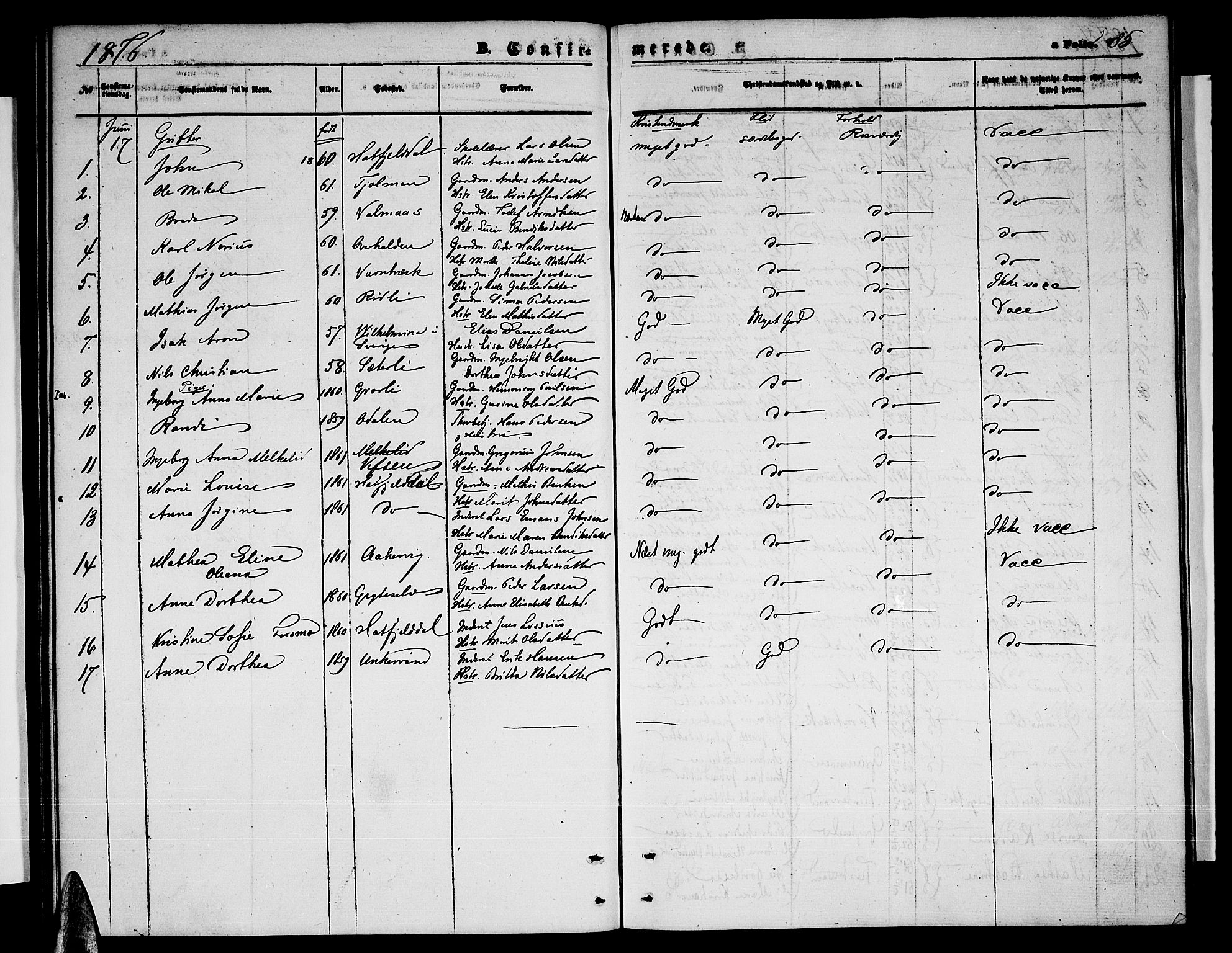 Ministerialprotokoller, klokkerbøker og fødselsregistre - Nordland, AV/SAT-A-1459/823/L0329: Parish register (copy) no. 823C01, 1865-1878, p. 85