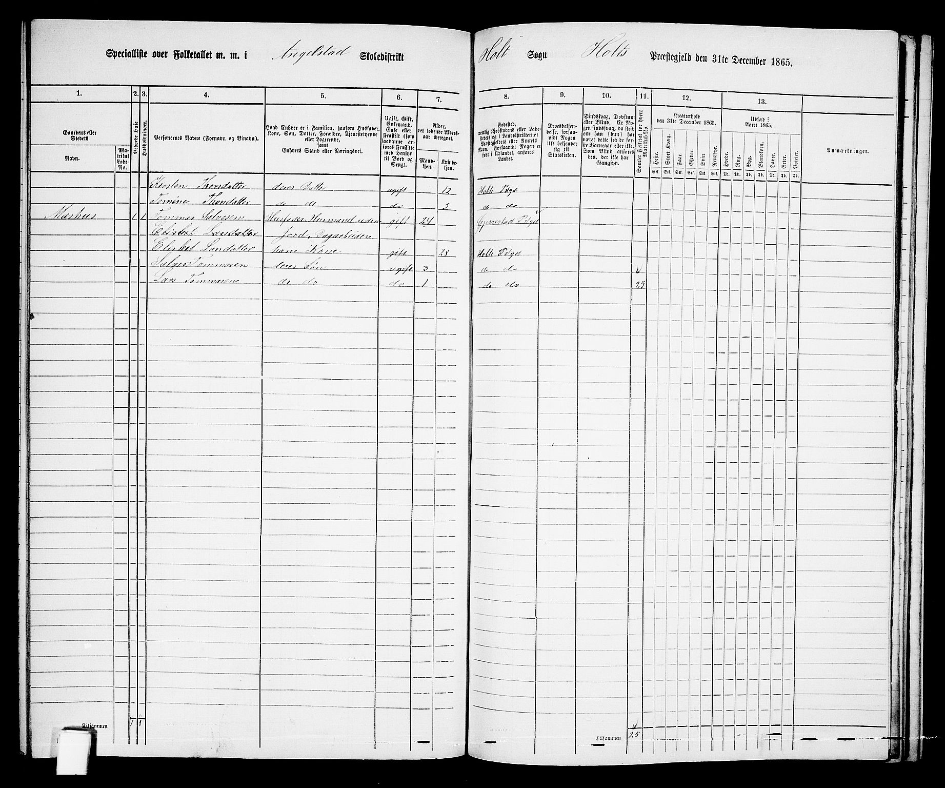 RA, 1865 census for Holt/Holt, 1865, p. 163