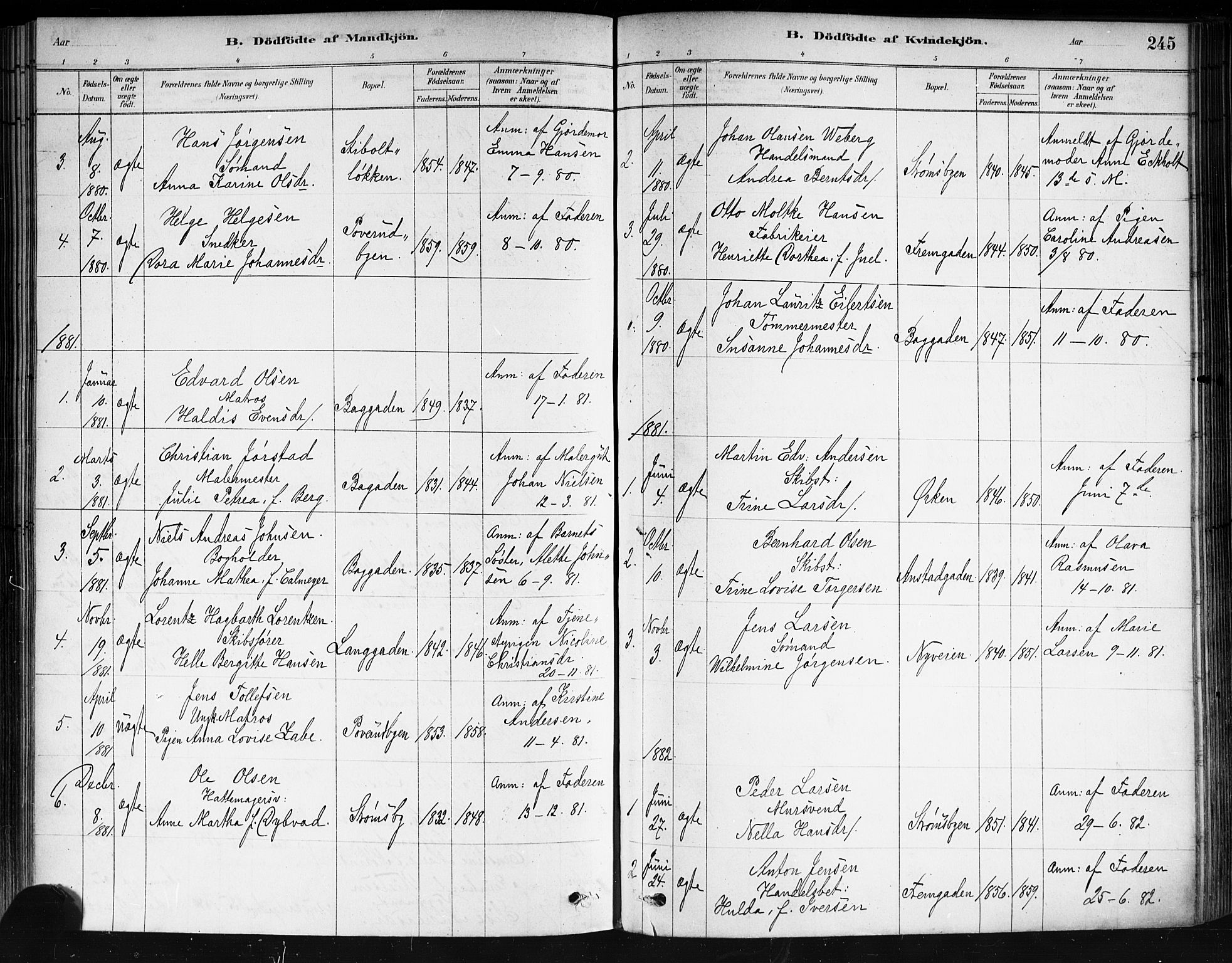 Strømsø kirkebøker, AV/SAKO-A-246/F/Fa/L0021: Parish register (official) no. I 21, 1878-1885, p. 245