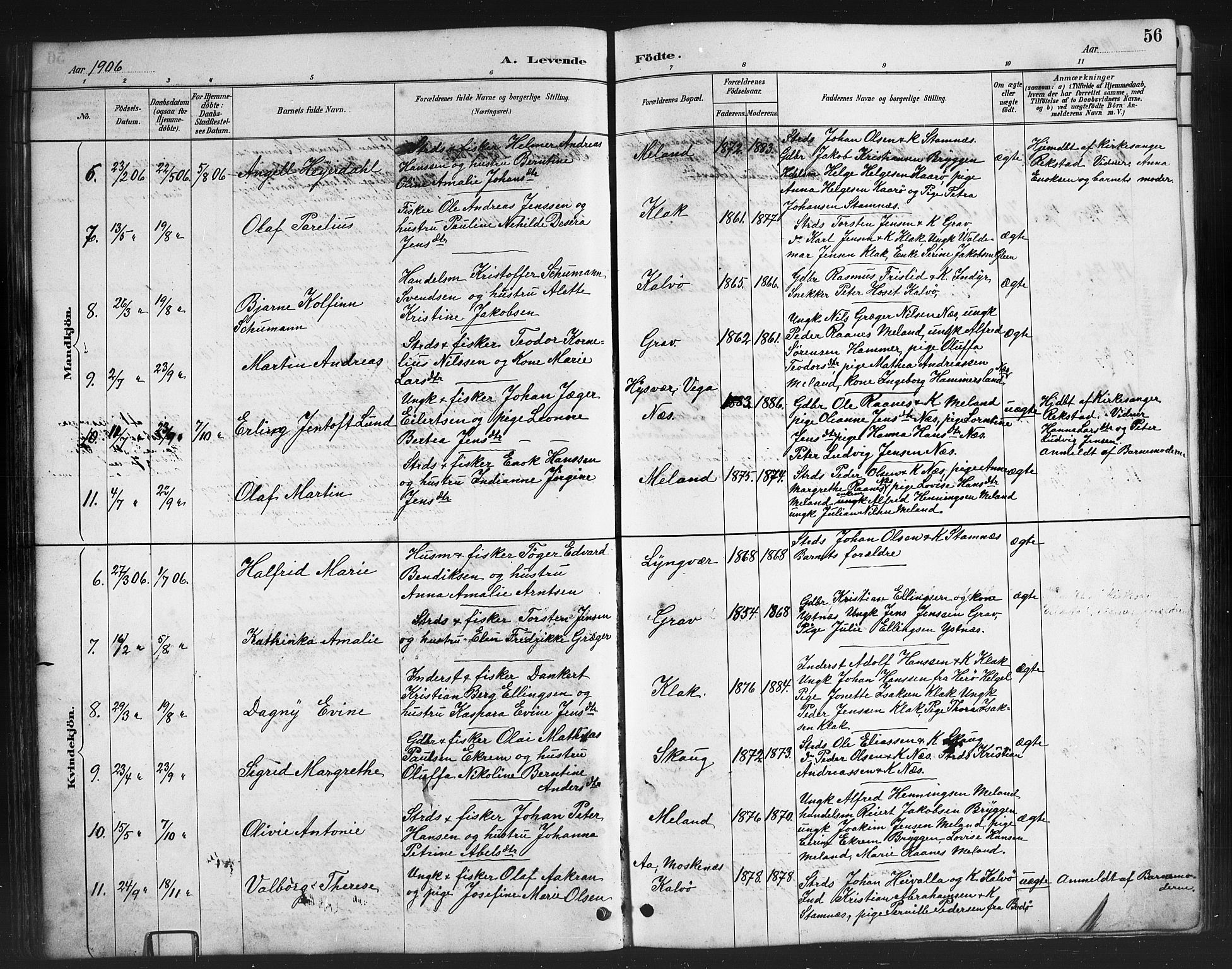 Ministerialprotokoller, klokkerbøker og fødselsregistre - Nordland, SAT/A-1459/808/L0131: Parish register (copy) no. 808C02, 1879-1919, p. 56