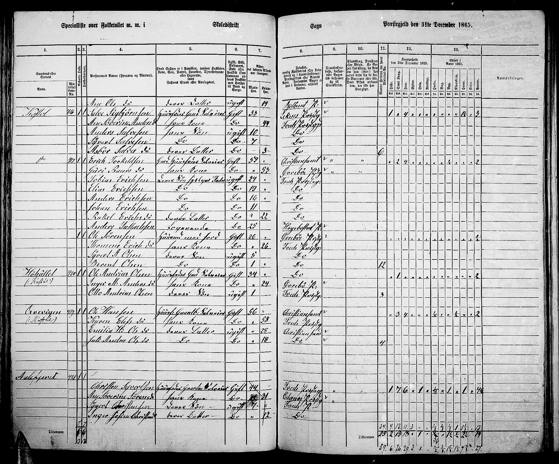 RA, 1865 census for Tveit, 1865, p. 70