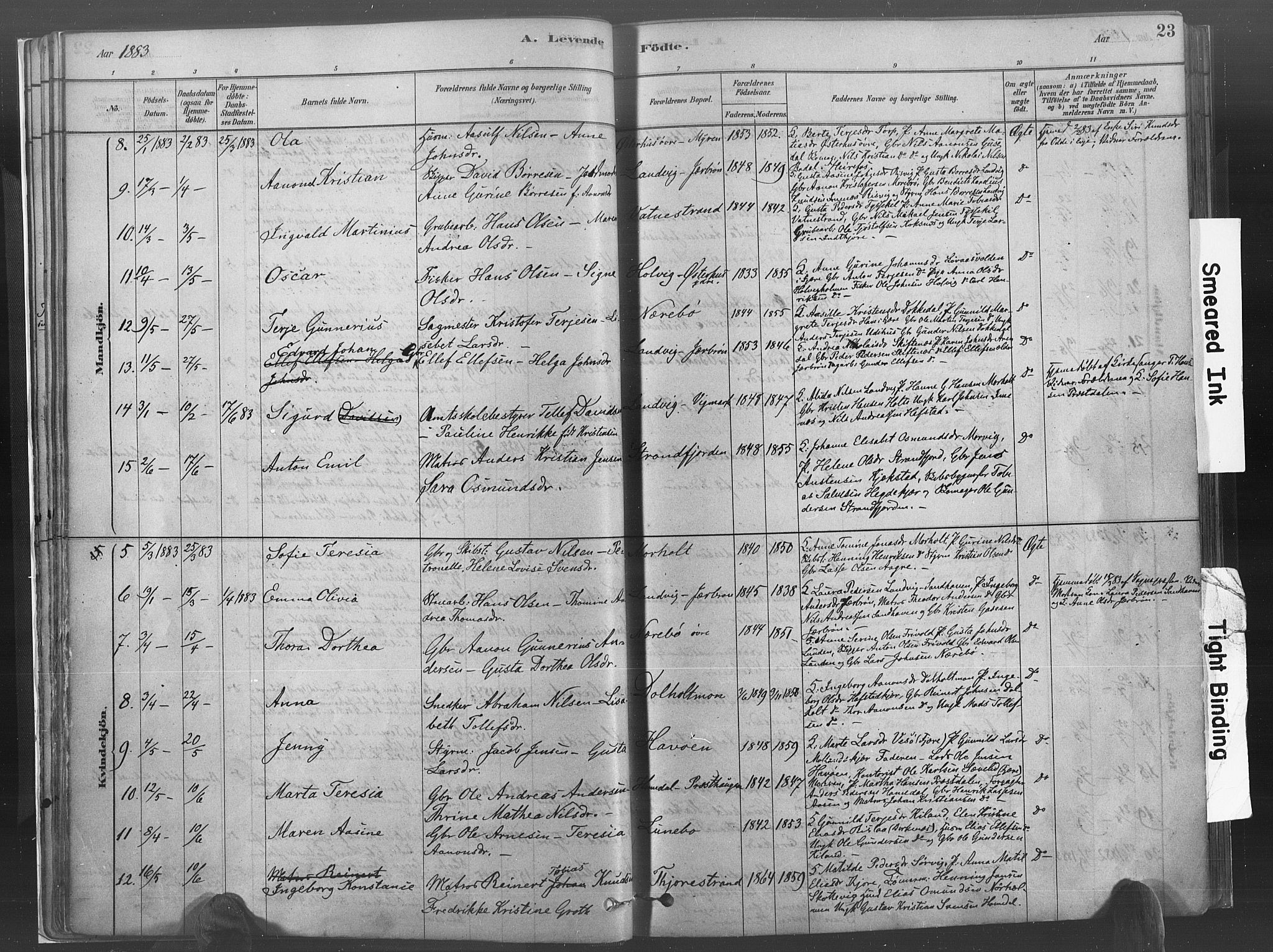 Hommedal sokneprestkontor, SAK/1111-0023/F/Fa/Fab/L0006: Parish register (official) no. A 6, 1878-1897, p. 23