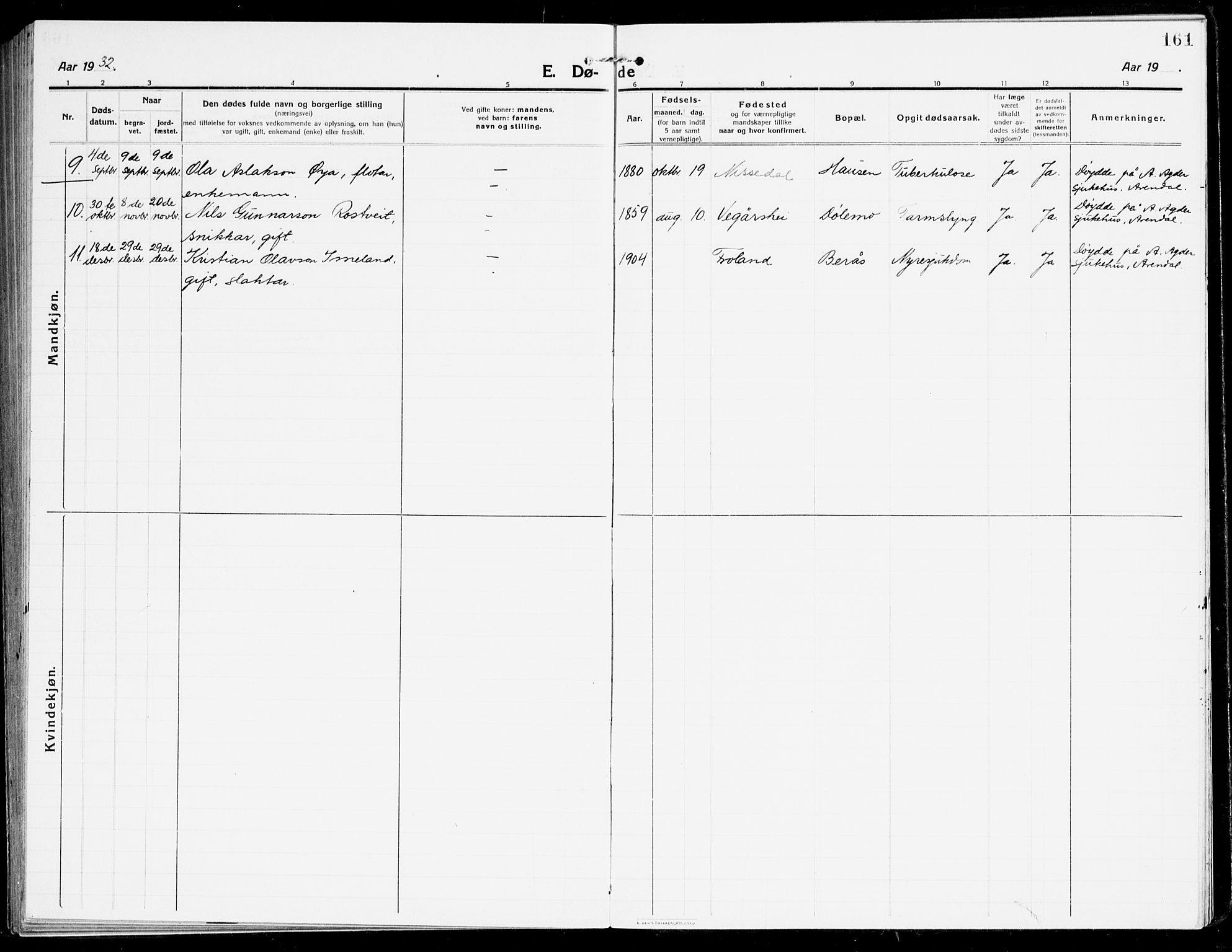 Åmli sokneprestkontor, AV/SAK-1111-0050/F/Fa/Fac/L0013: Parish register (official) no. A 13, 1914-1933, p. 161