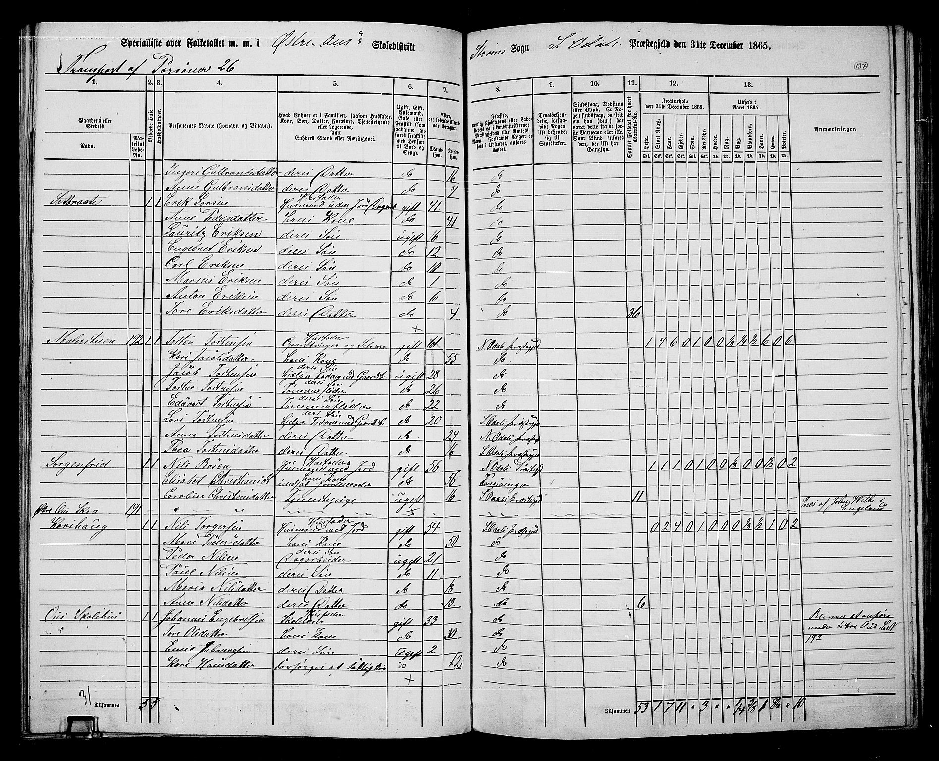 RA, 1865 census for Sør-Odal, 1865, p. 122