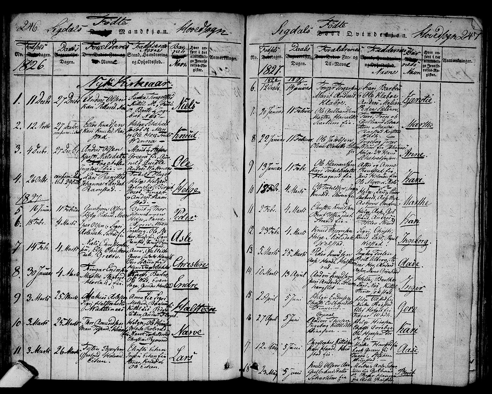 Sigdal kirkebøker, AV/SAKO-A-245/F/Fa/L0005: Parish register (official) no. I 5 /1, 1815-1829, p. 246-247