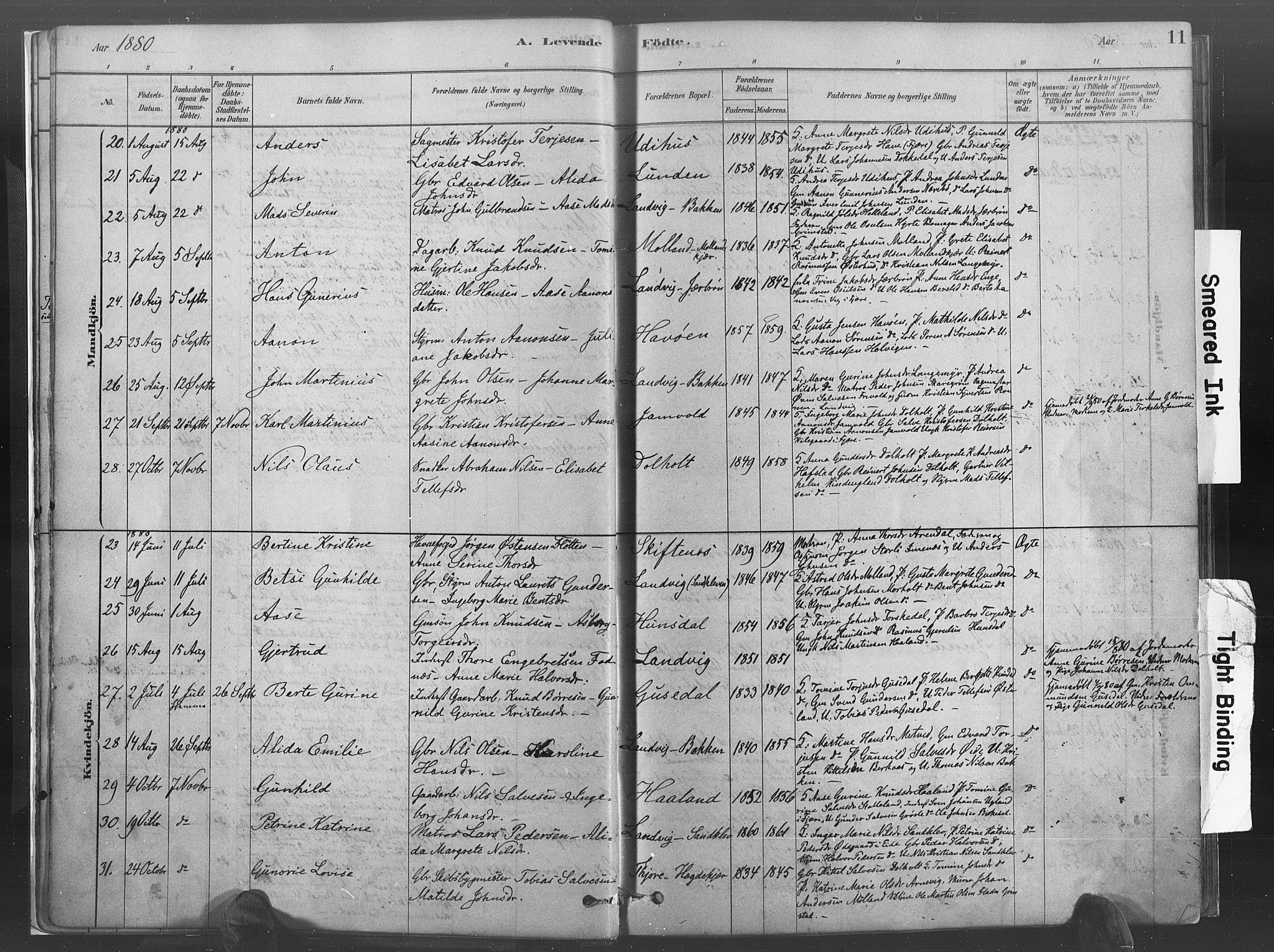 Hommedal sokneprestkontor, SAK/1111-0023/F/Fa/Fab/L0006: Parish register (official) no. A 6, 1878-1897, p. 11