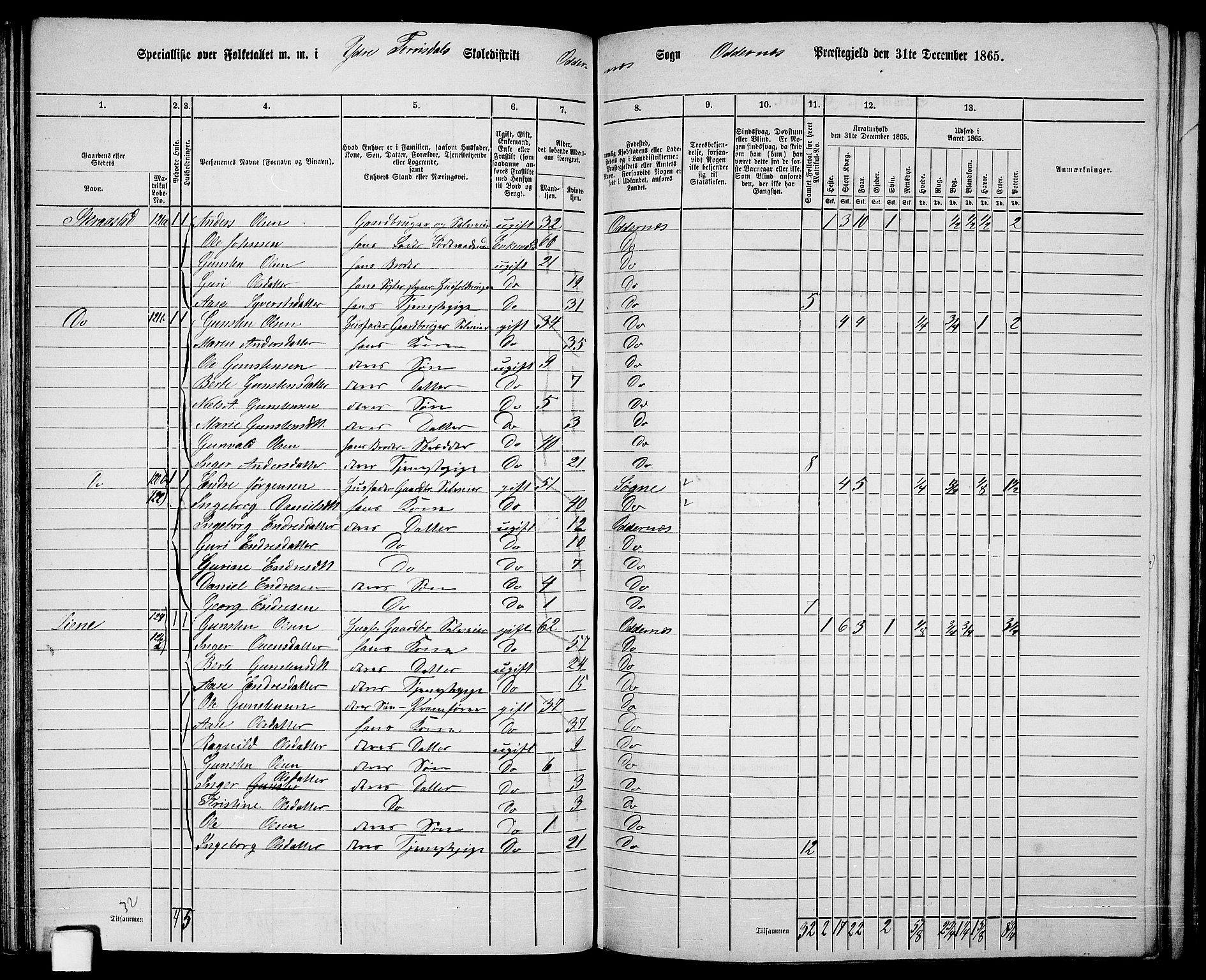 RA, 1865 census for Oddernes, 1865, p. 63