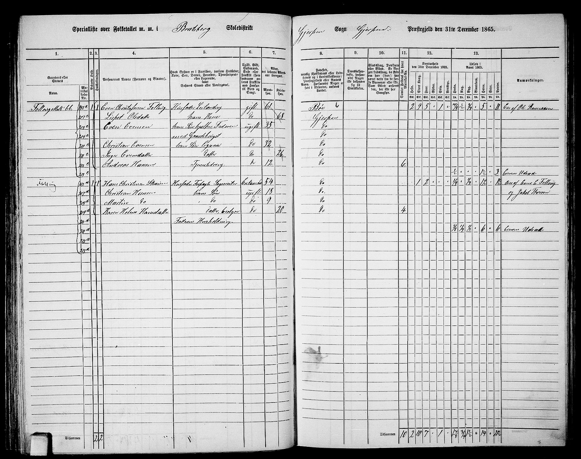 RA, 1865 census for Gjerpen, 1865, p. 114