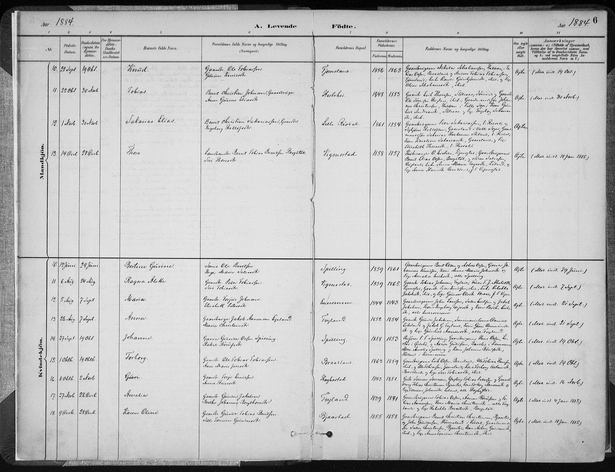 Nord-Audnedal sokneprestkontor, SAK/1111-0032/F/Fa/Fab/L0003: Parish register (official) no. A 3, 1882-1900, p. 6