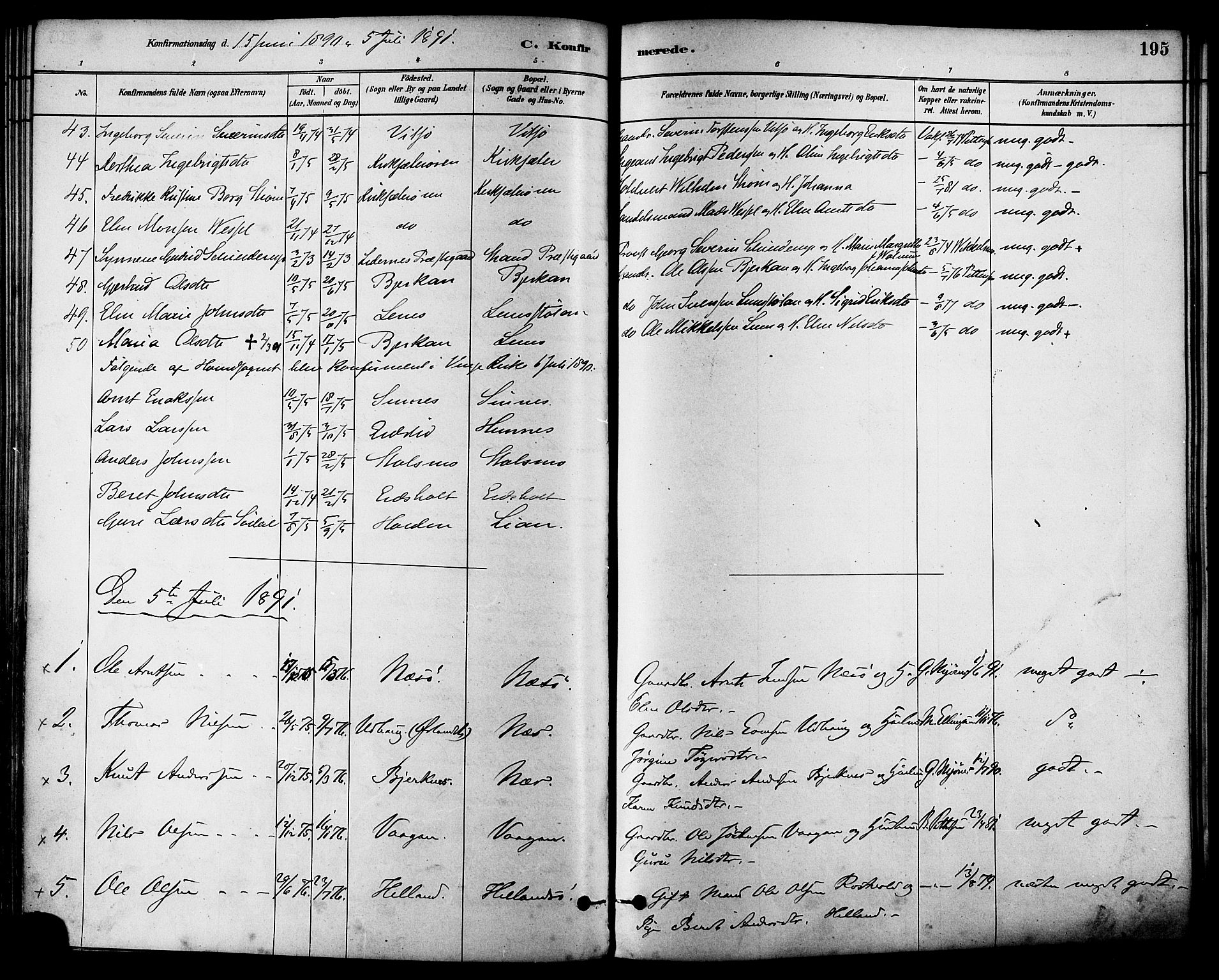 Ministerialprotokoller, klokkerbøker og fødselsregistre - Sør-Trøndelag, SAT/A-1456/630/L0496: Parish register (official) no. 630A09, 1879-1895, p. 195